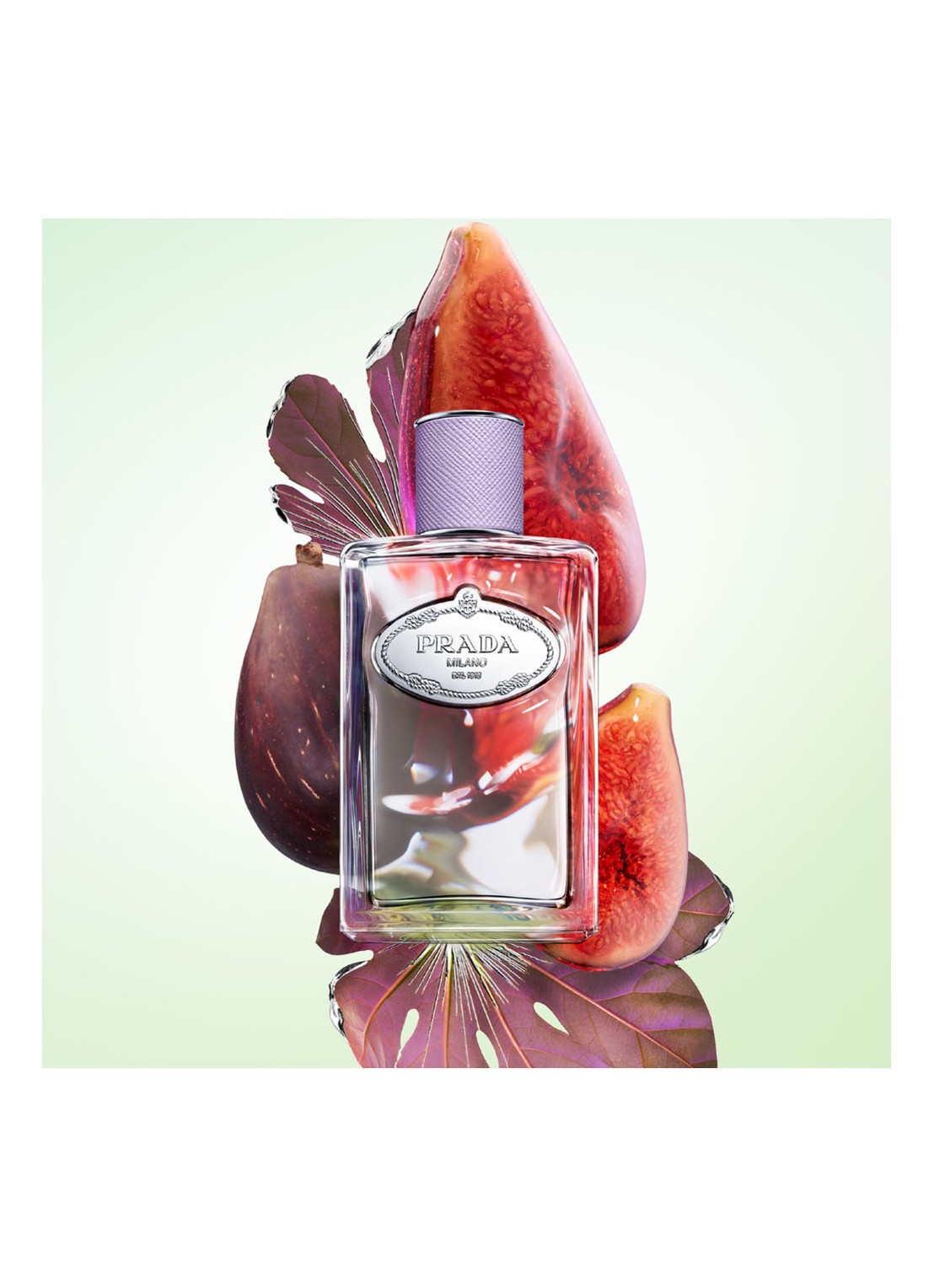 Prada Infusion de Figue Eau de Parfum - detail 8 undefined