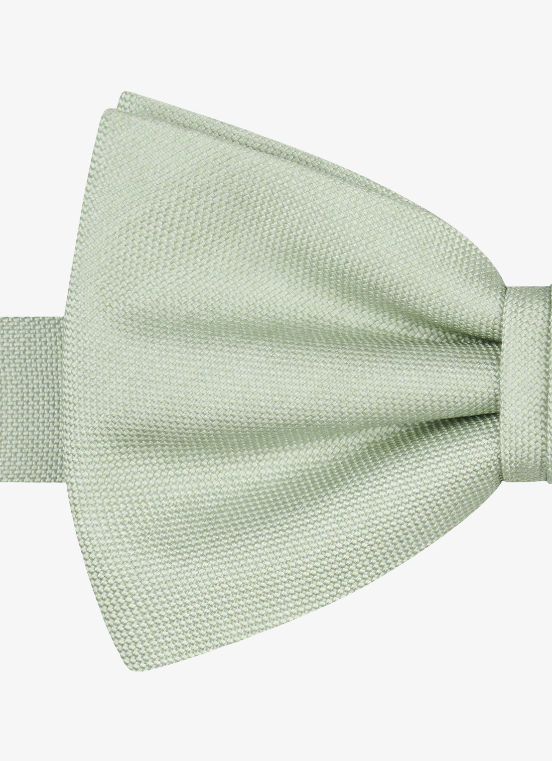 Profuomo Vlinderdas van zijde - detail 2 groen