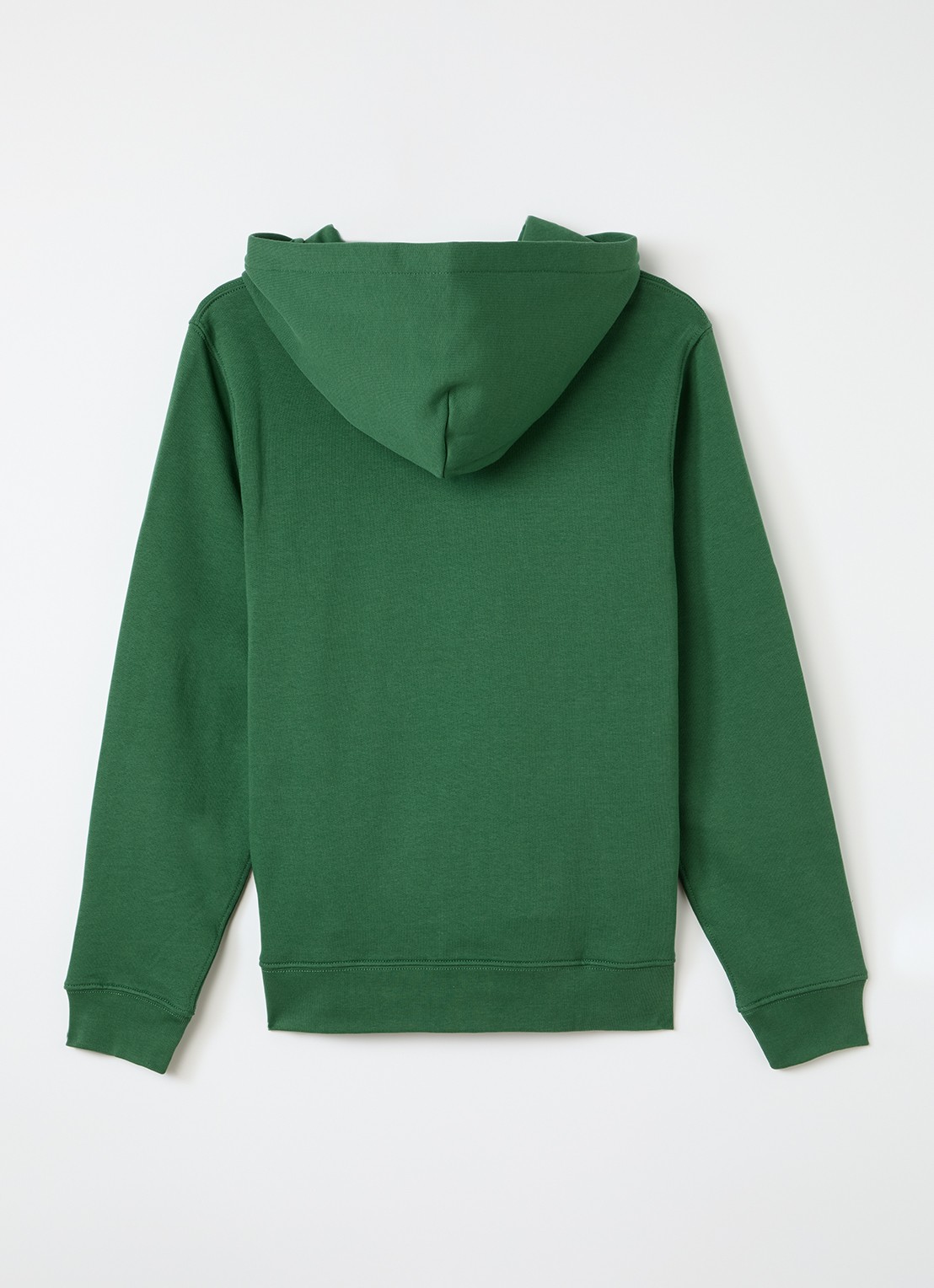 Ralph Lauren Hoodie met logoborduring - voorkant 2 felgroen
