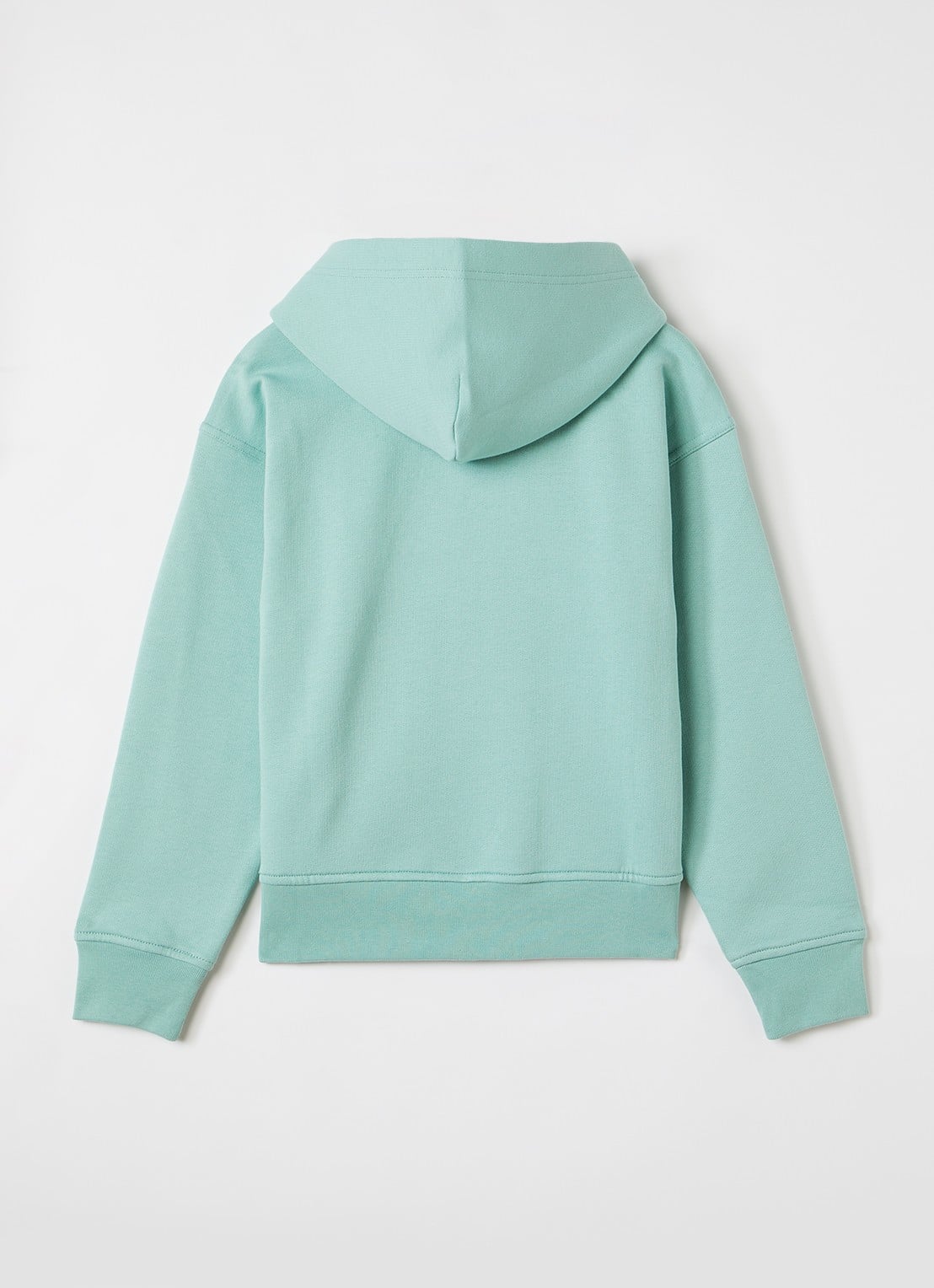 Ralph Lauren Hoodie met logoprint - voorkant 2 mint