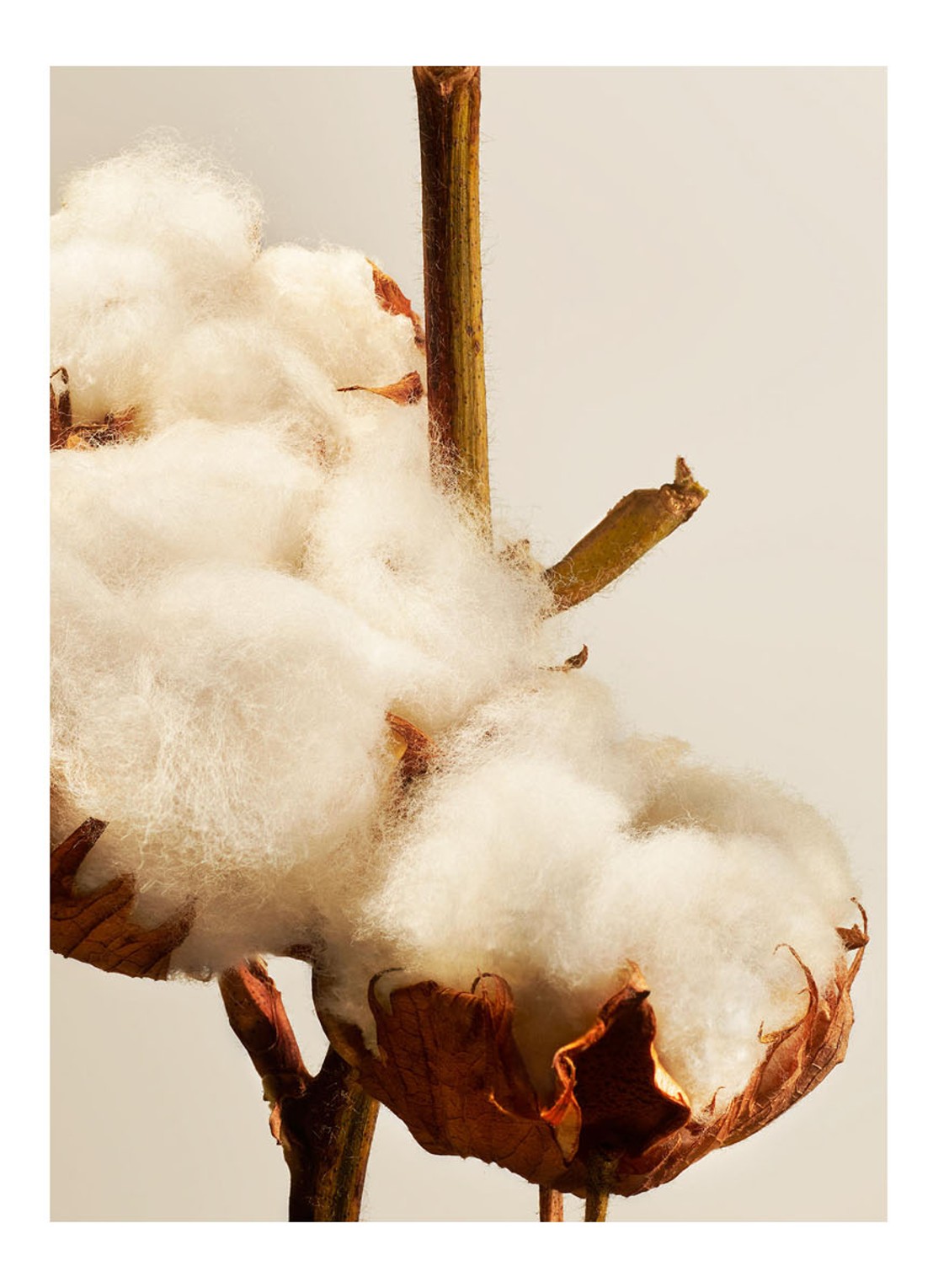 Rituals Cotton Blossom Fragrance Sticks Refill - navulling voor luxe geurstokjes 1000 ml - detail oranjebruin