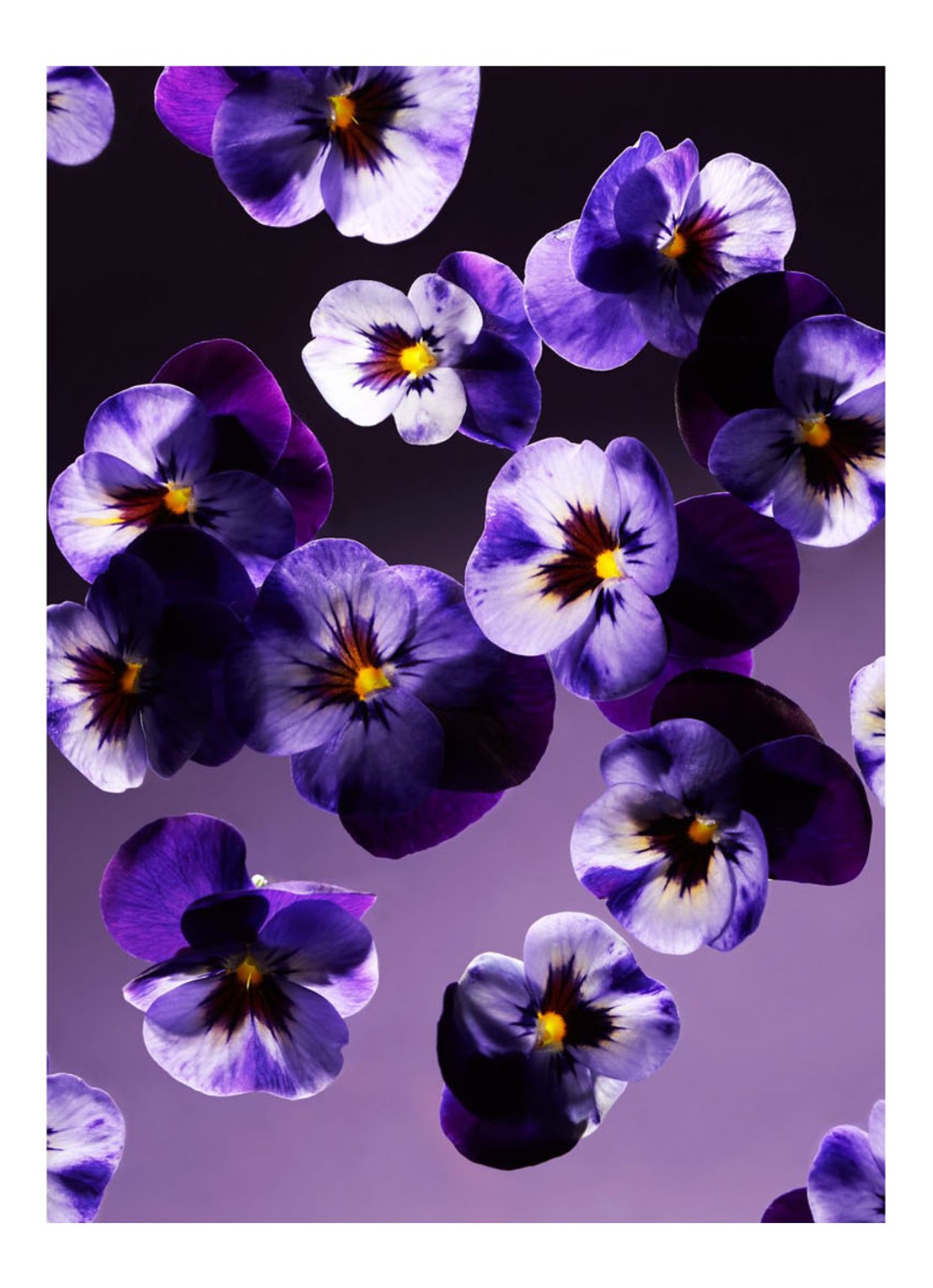 Rituals Smooth Violet geurkaars 360 cm - detail 3 oranjebruin