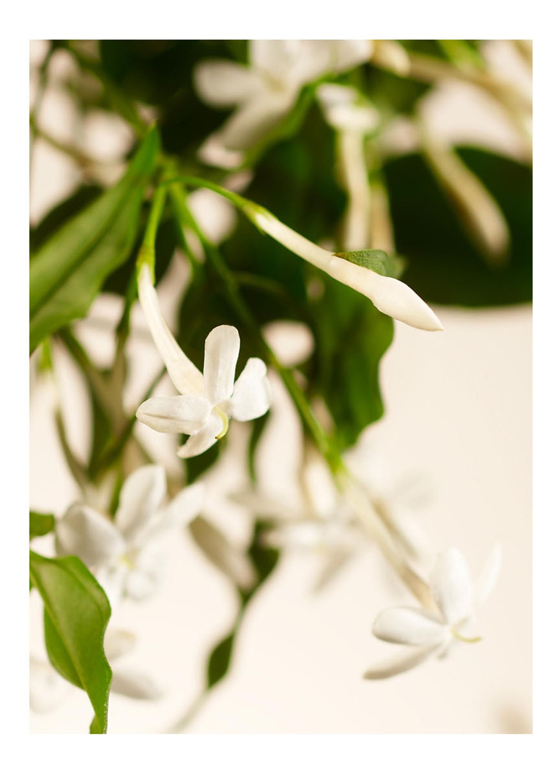 Rituals Sweet Jasmine mini geurkaars set van 6 - detail goud