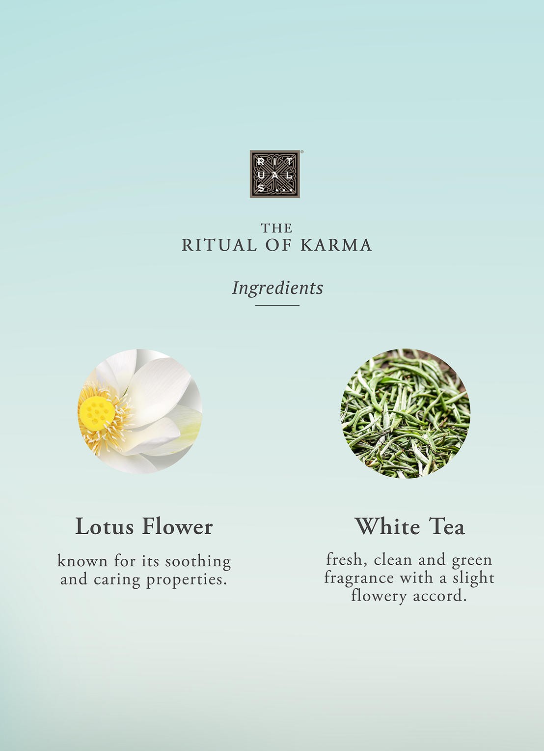 Rituals The Ritual of Karma Fragrance Sticks - geurstokjes 250 ml - detail 4 undefined
