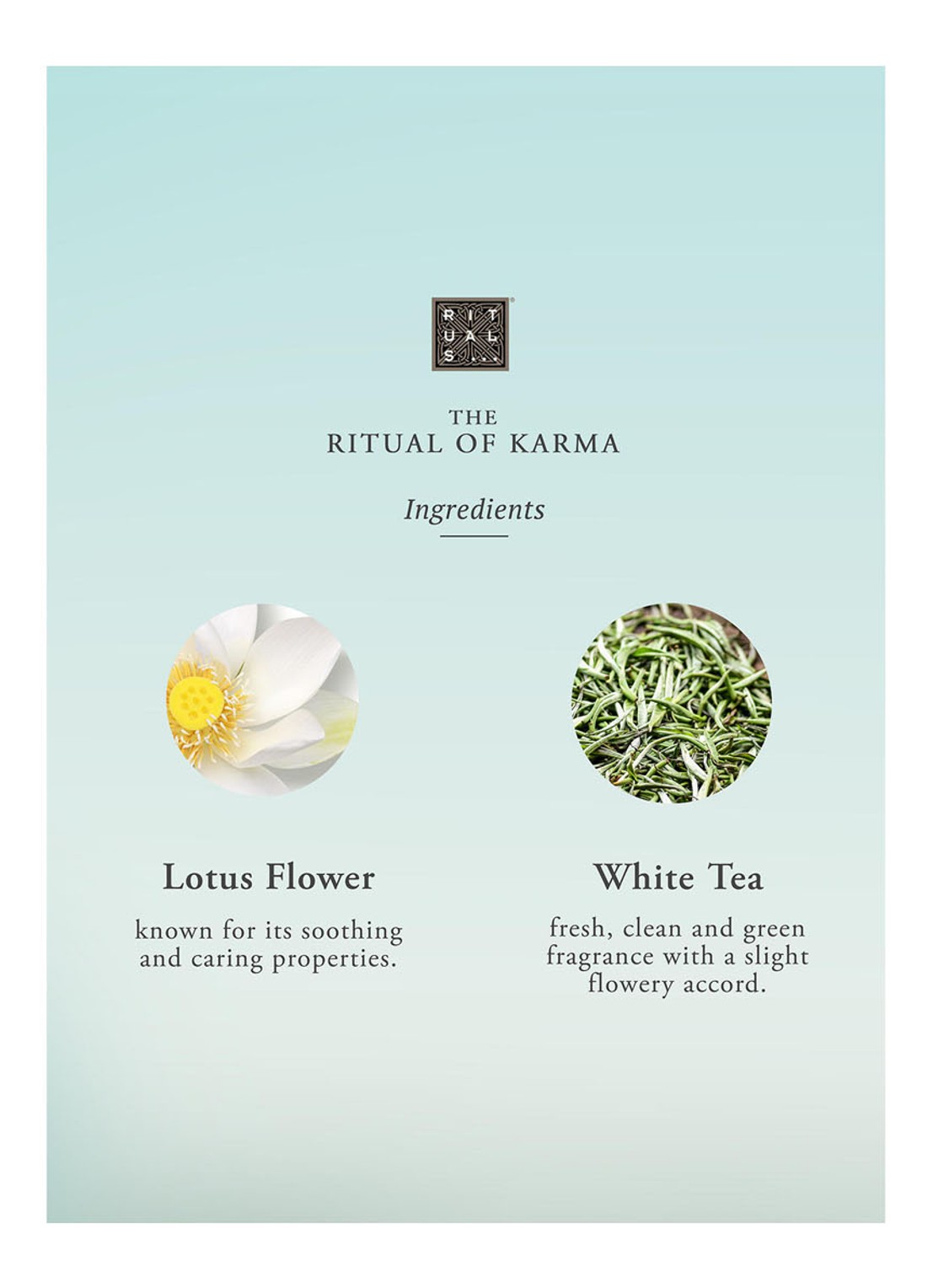 Rituals The Ritual of Karma Parfum d'Interieur - huisparfum 500 ml - detail 3 turquoise