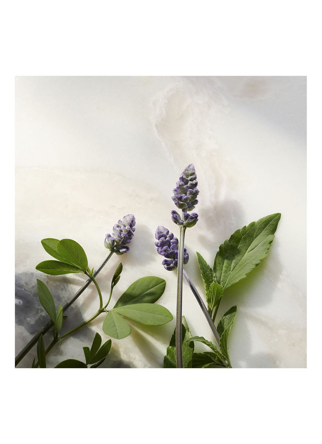 Rituals The Ritual of Namaste Anti-Ageing Night Cream - nachtcrème - detail 5 undefined