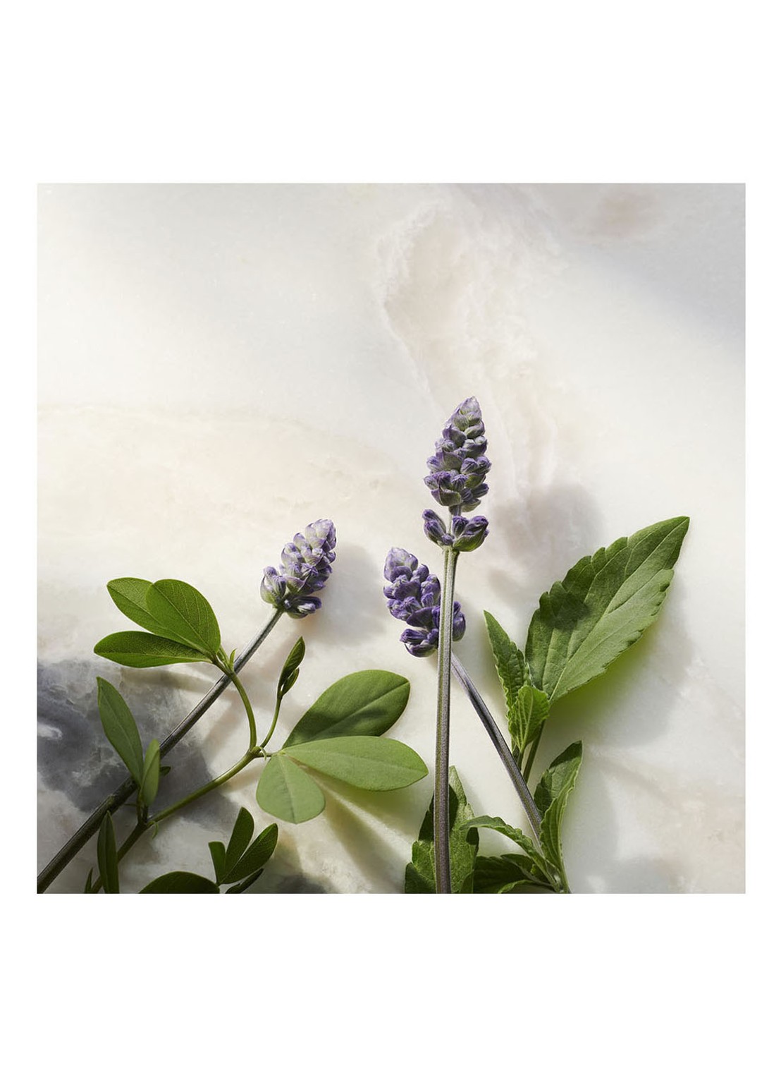 Rituals The Ritual of Namaste  Anti-ageing Night Cream Refill - nachtcrème navulling - detail 5 undefined