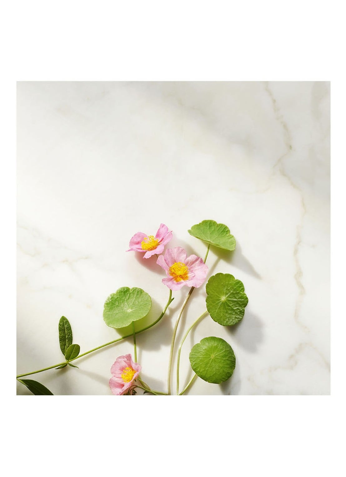 Rituals The Ritual of Namaste Firming Day Cream Refill - dagcrème navulling - detail 5 undefined