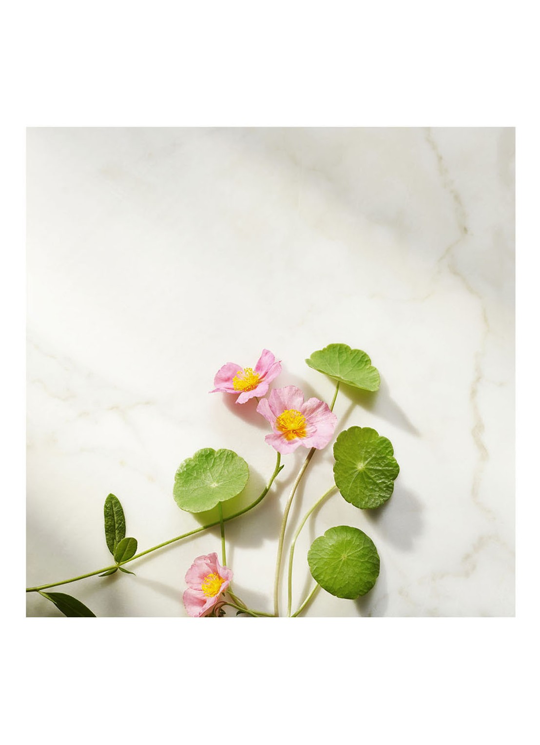 Rituals The Ritual of Namaste Firming Serum Refill - serum navulling - detail 2 undefined