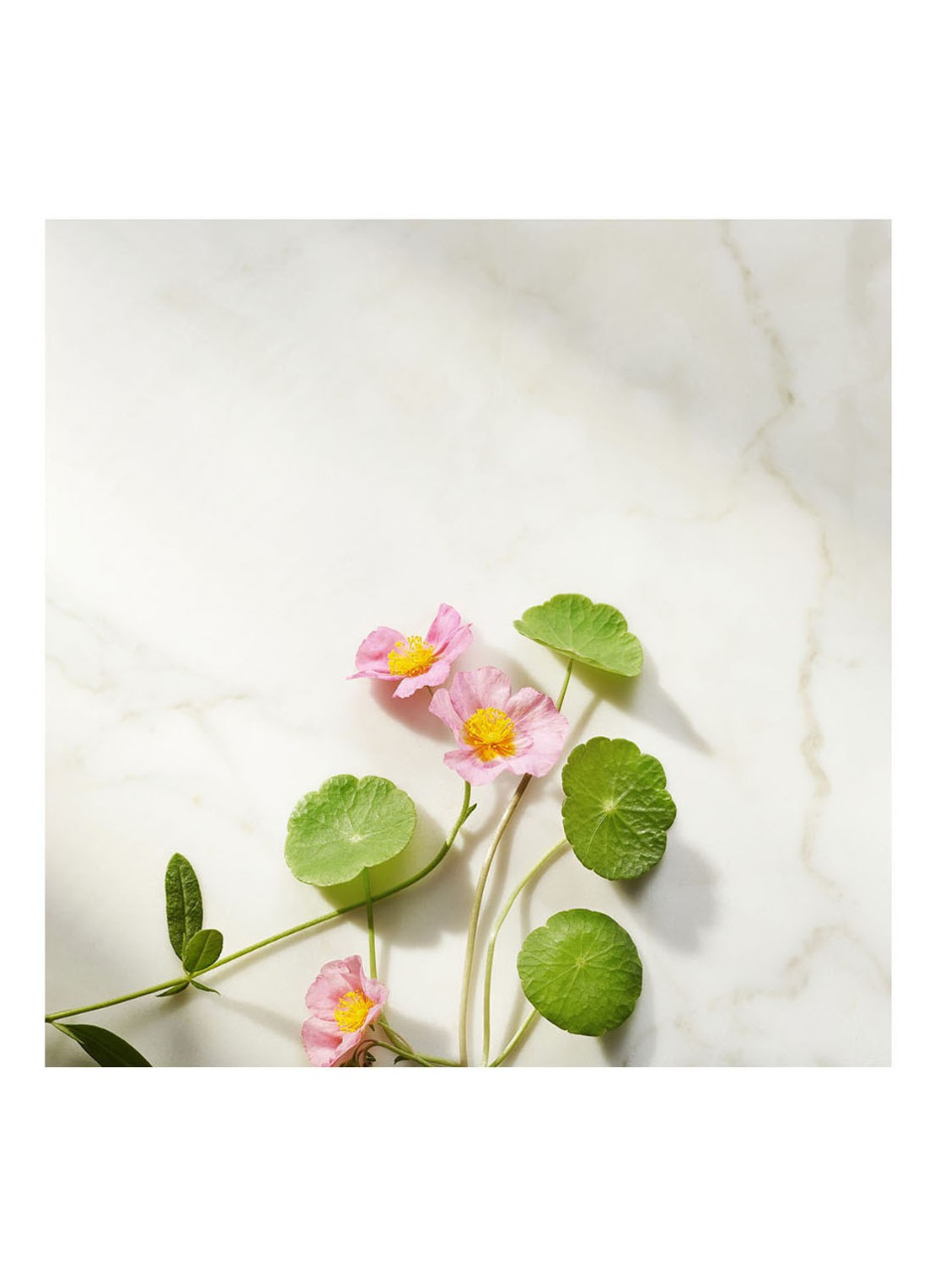 Rituals The Ritual of Namaste Firming Serum - detail 5 undefined