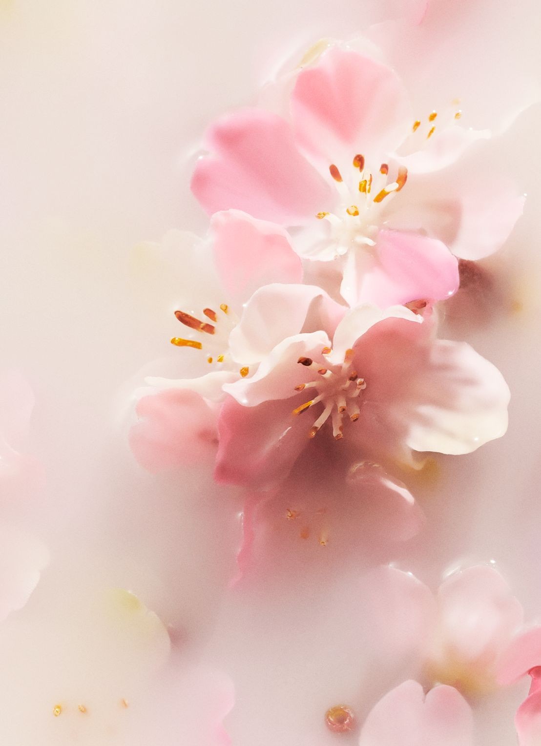 Rituals The Ritual of Sakura Medium Gift Set - verzorgingsset - achterkant roze