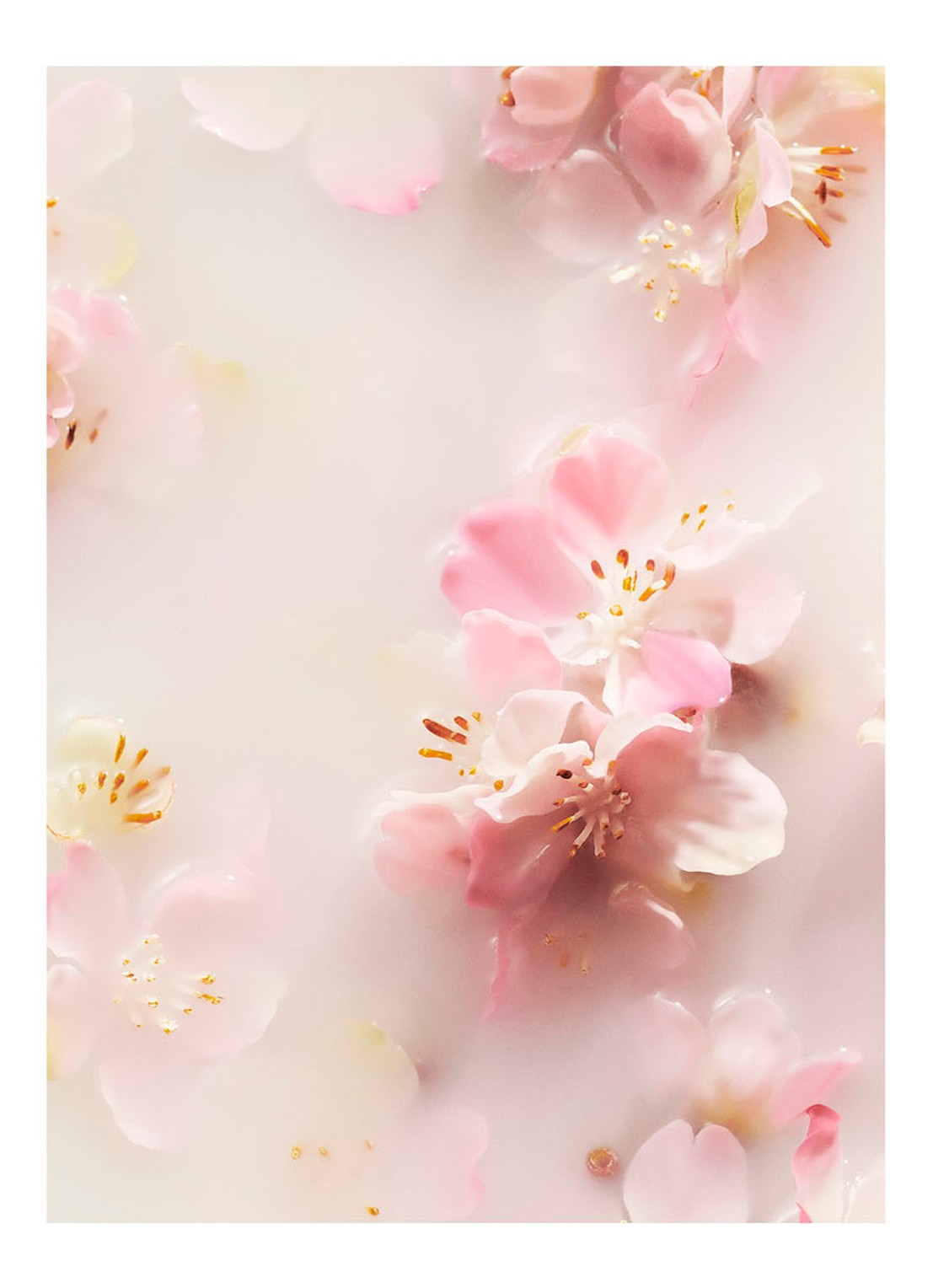 Rituals The Ritual of Sakura Recovery Hand Balm - handcrème - detail 3 undefined