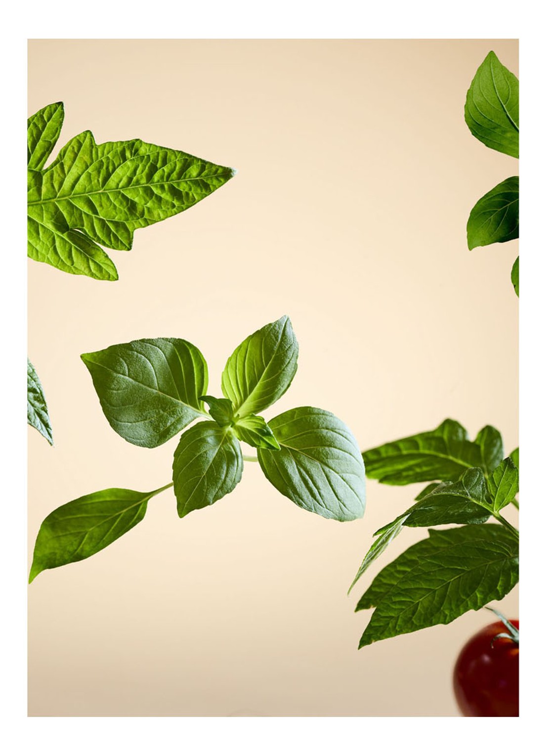 Rituals White Basil Fragrance Sticks - geurstokjes - detail 2 undefined