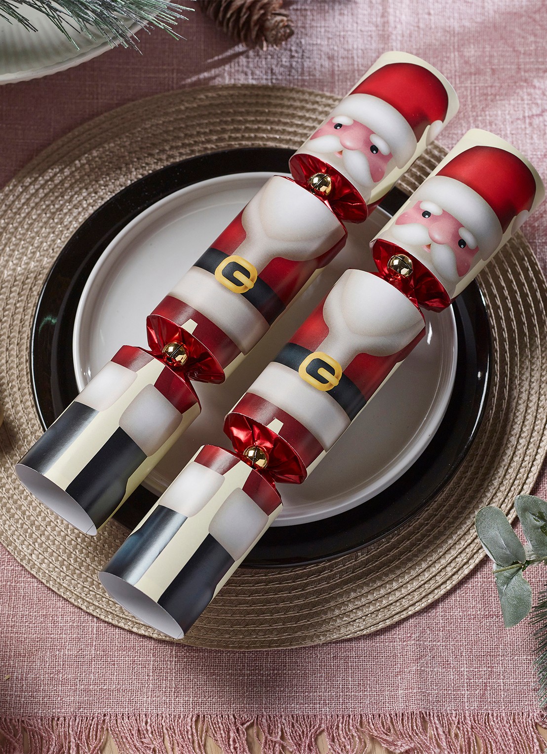 Robin Reed Father Christmas kerstcracker set van 12 - voorkant 2 rood