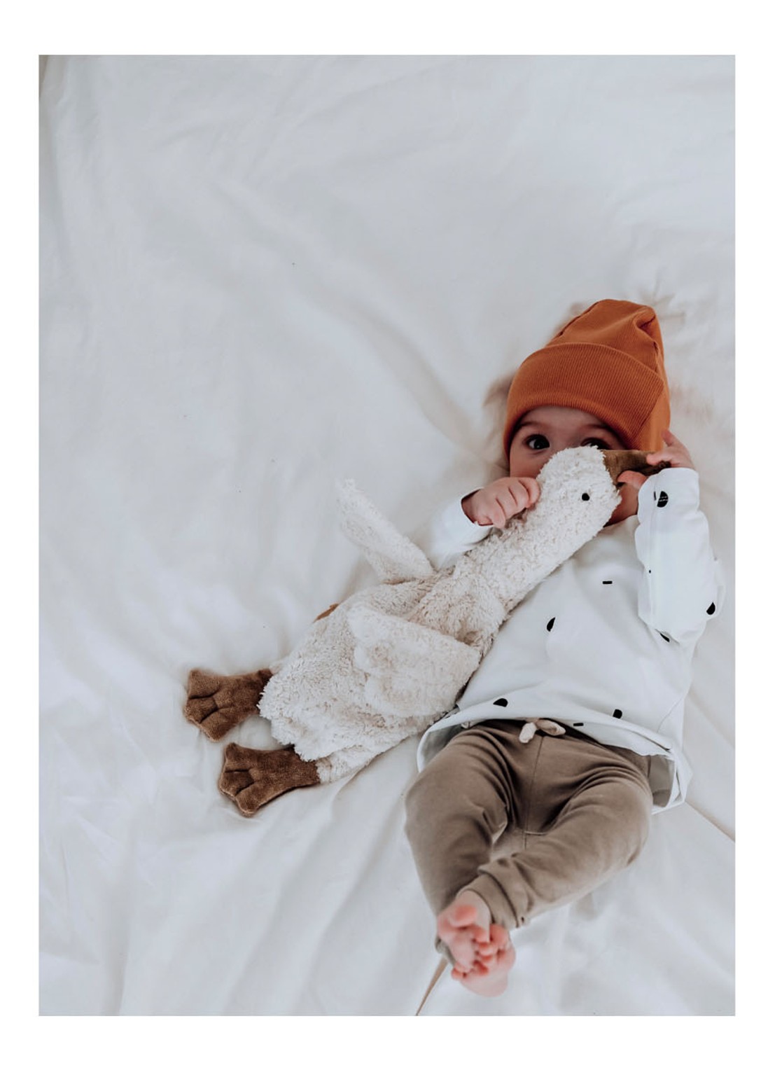 Senger Naturwelt Cuddly animal Goose small knuffel met warmtekussen 37 cm - voorkant 5 gebroken wit