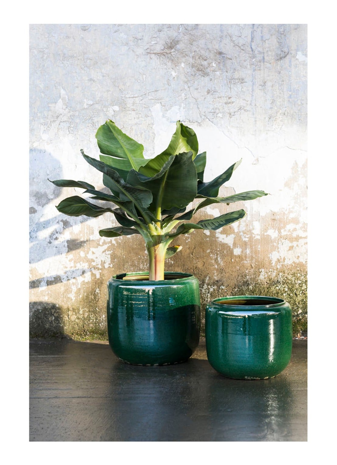Serax Costa M bloempot voor binnen Ø21 cm - voorkant 2 donkergroen