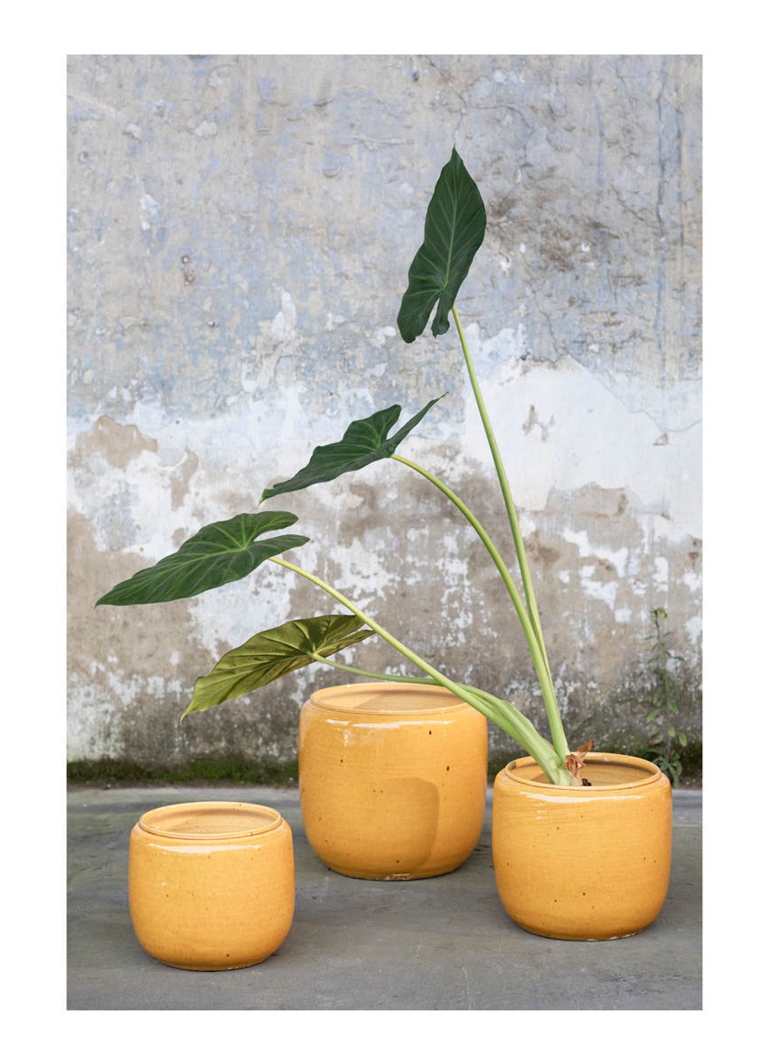 Serax Costa sierpot S van aardewerk voor binnen Ø26 cm  - voorkant 2 geel