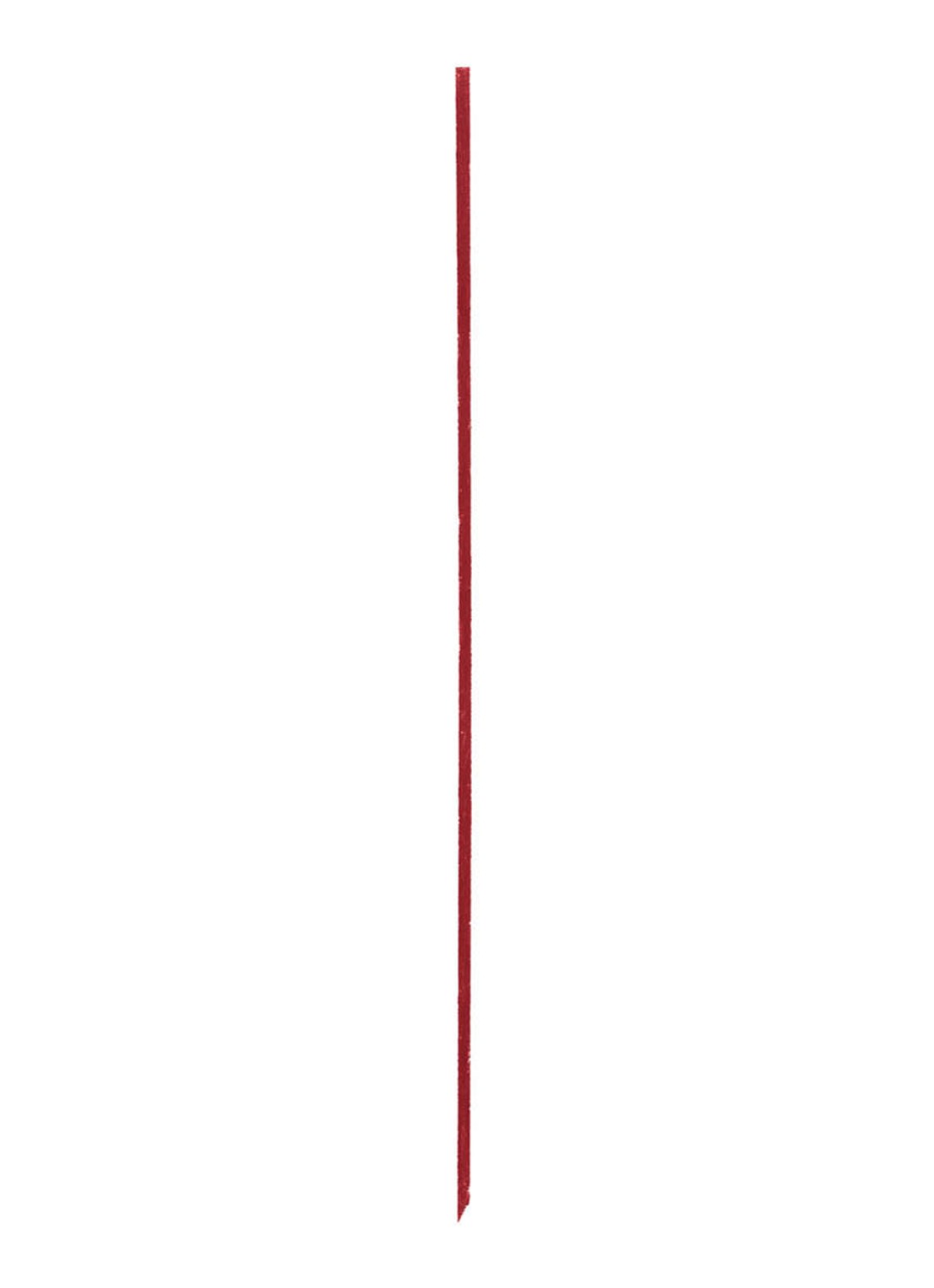 Shiseido Microliner Ink - eyeliner - detail 4 10 burgundy