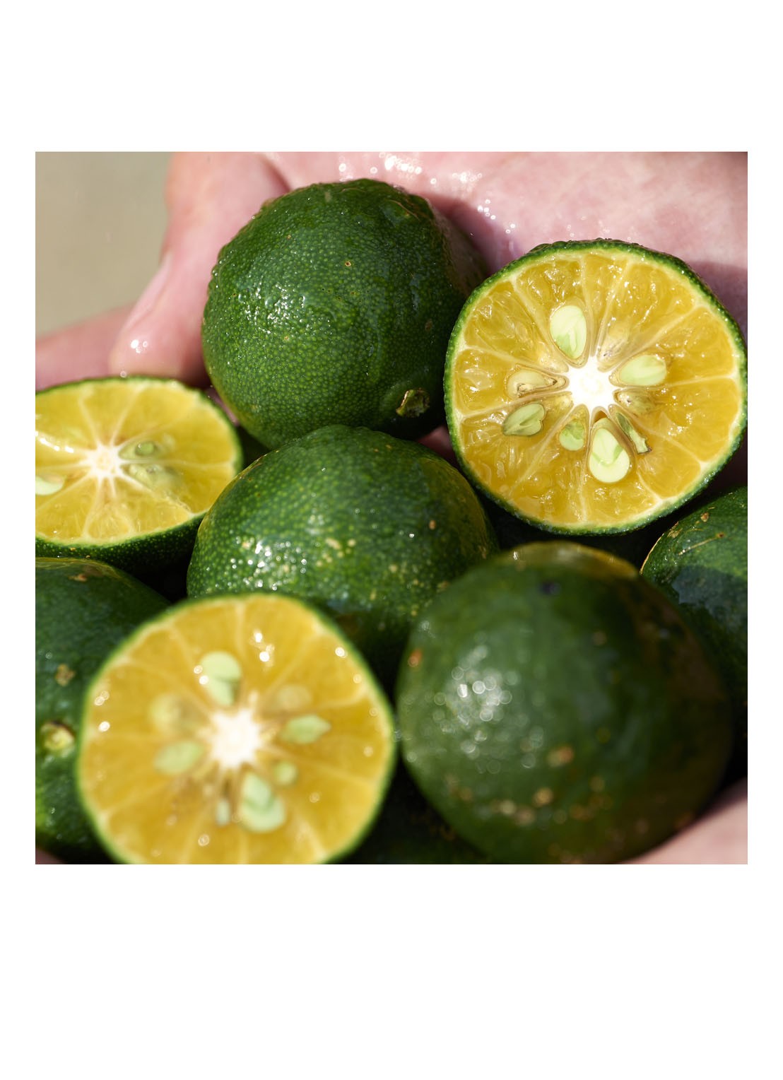 Shiseido Shikulime Color Control Oil-Free Moisturizer  SPF 30 - getinte dagcrème - detail 4 undefined