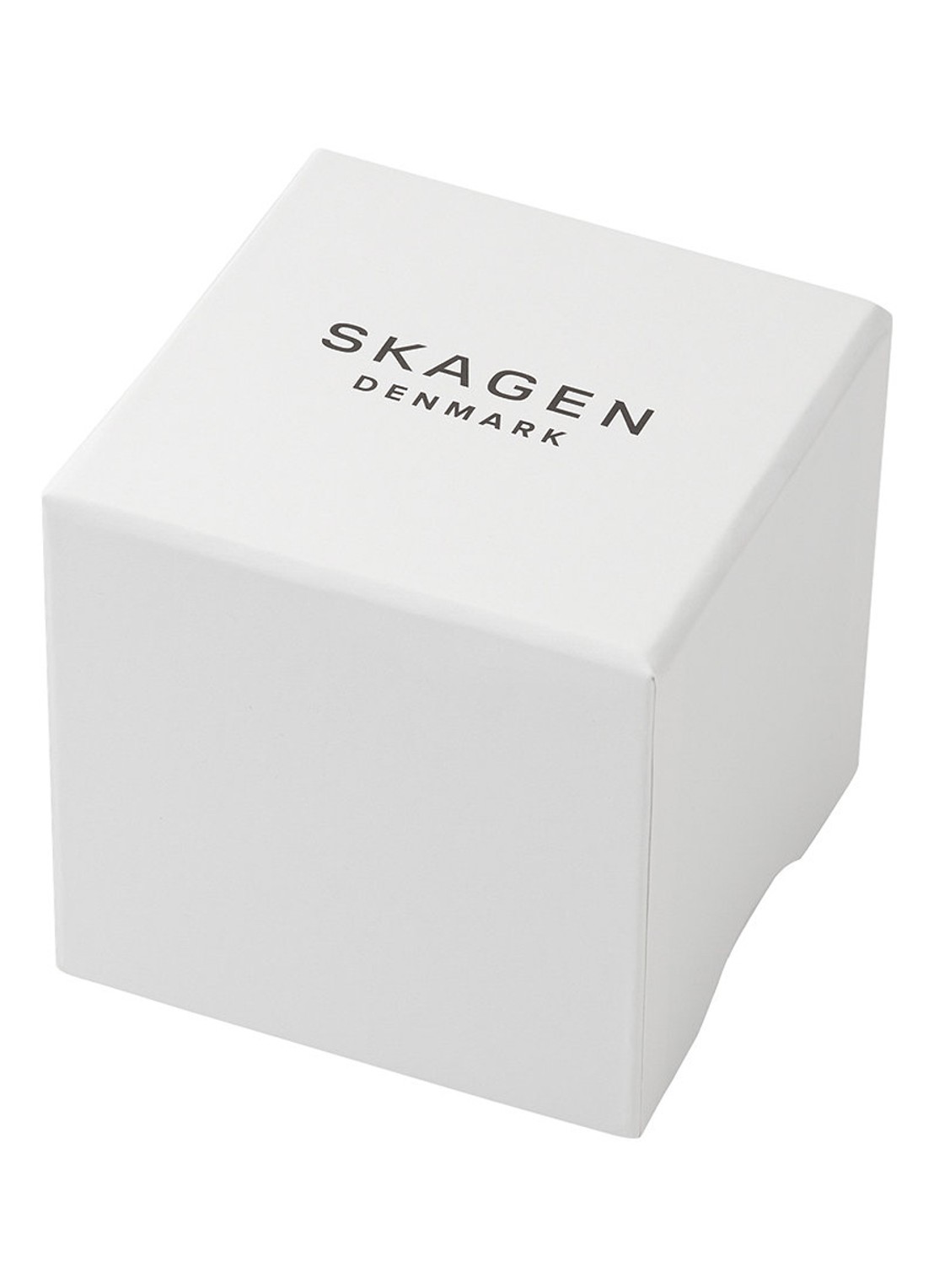 Skagen Grenen Solar Powered horloge SKW6836 - detail 4 zilver