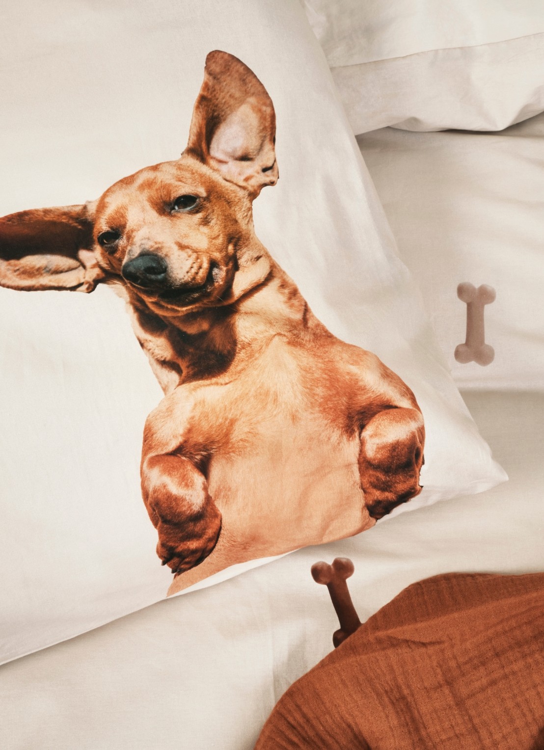 Snurk Dashhund Friends dekbedovertrekset van  katoen 160 TC - inclusief kussensloop - detail creme