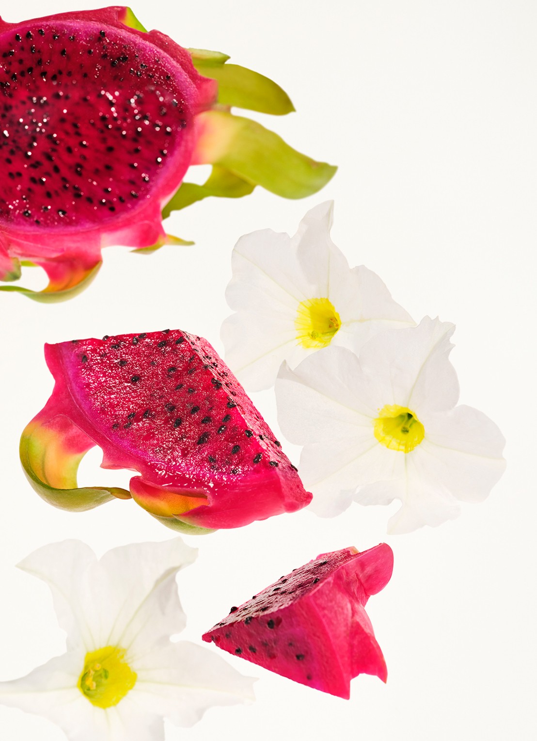 Sol de Janeiro Beija Flor Elasti-Body Oil - huidolie - detail 5 undefined