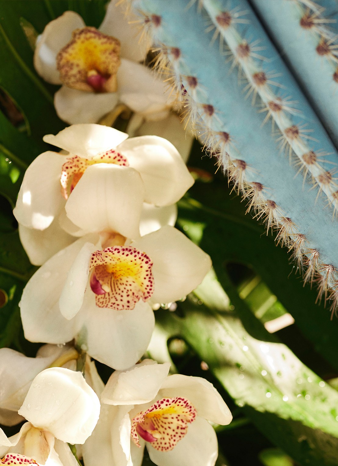 Sol de Janeiro Refresco Paraiso Perfume Mist - parfumspray - detail 2 undefined