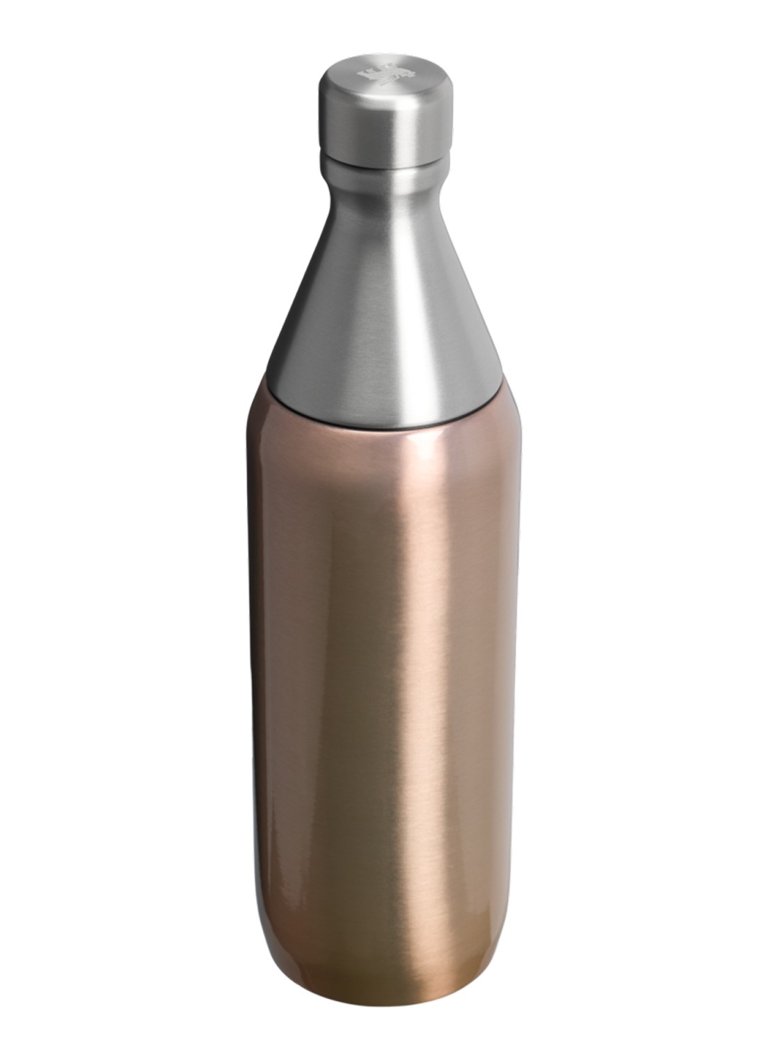 Stanley De All Day Slim waterfles 60 cl - achterkant goud