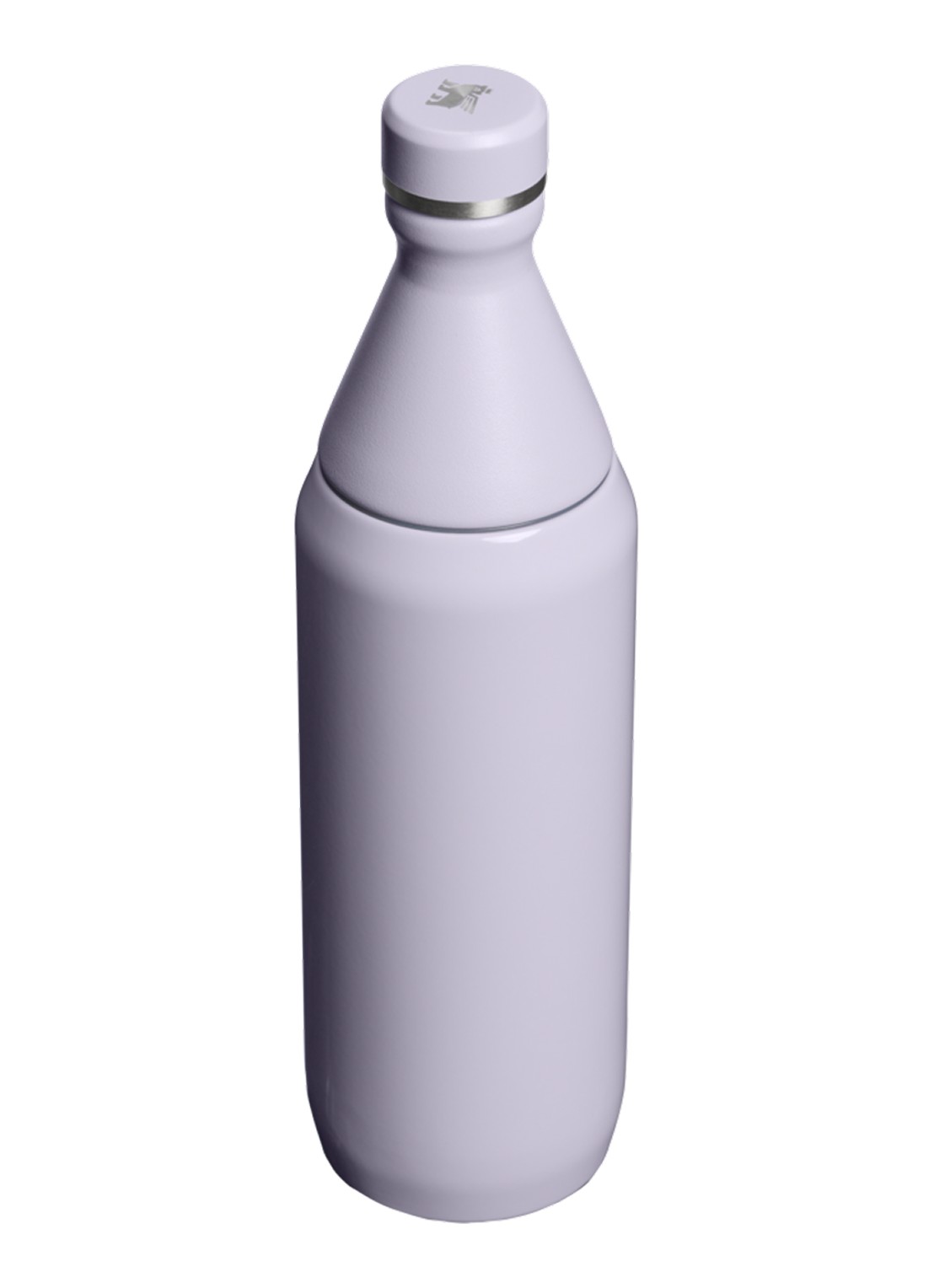 Stanley De All Day Slim waterfles 60 cl - achterkant lila