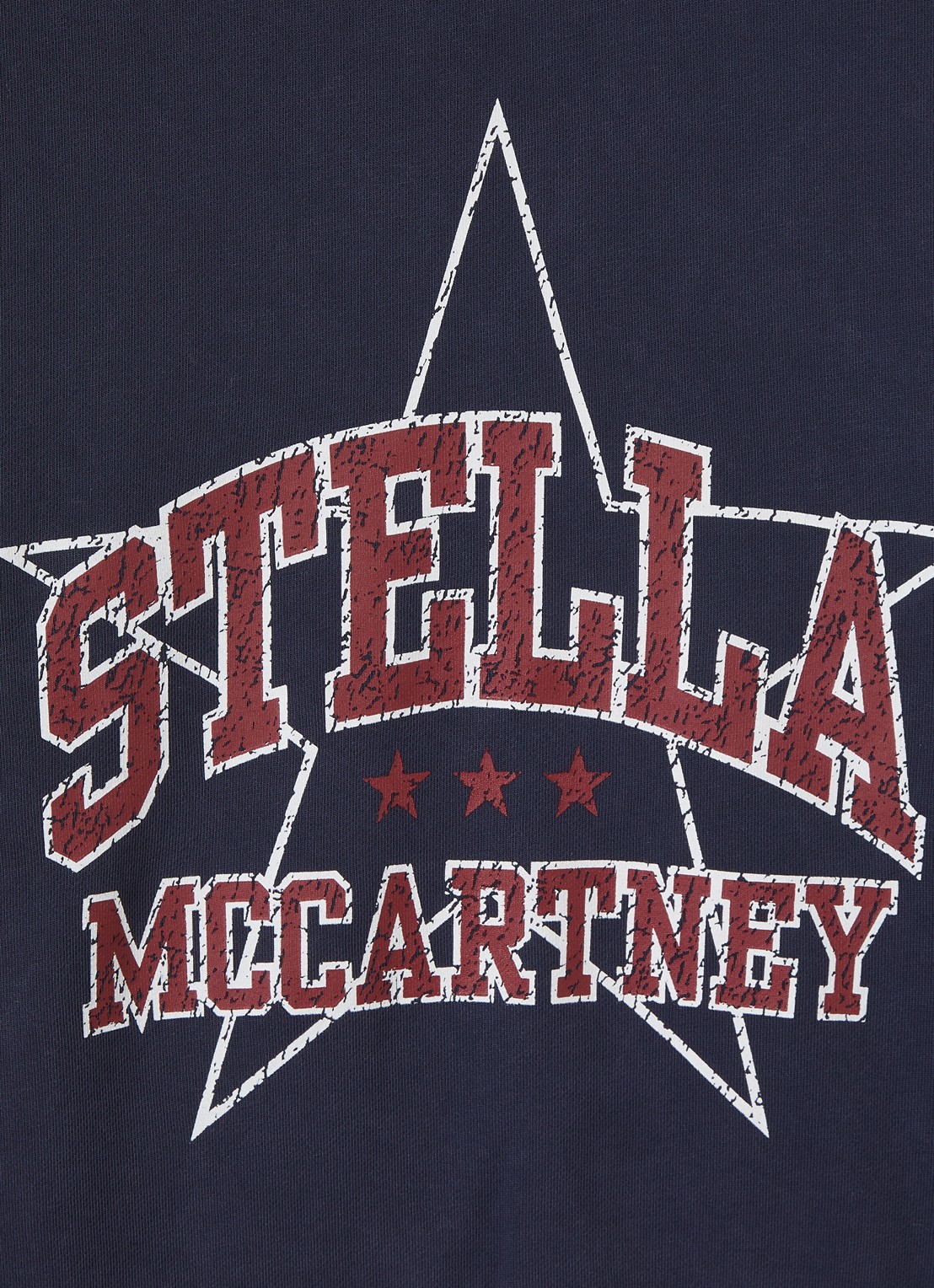 Stella McCartney Sweater met logoprint - detail indigo