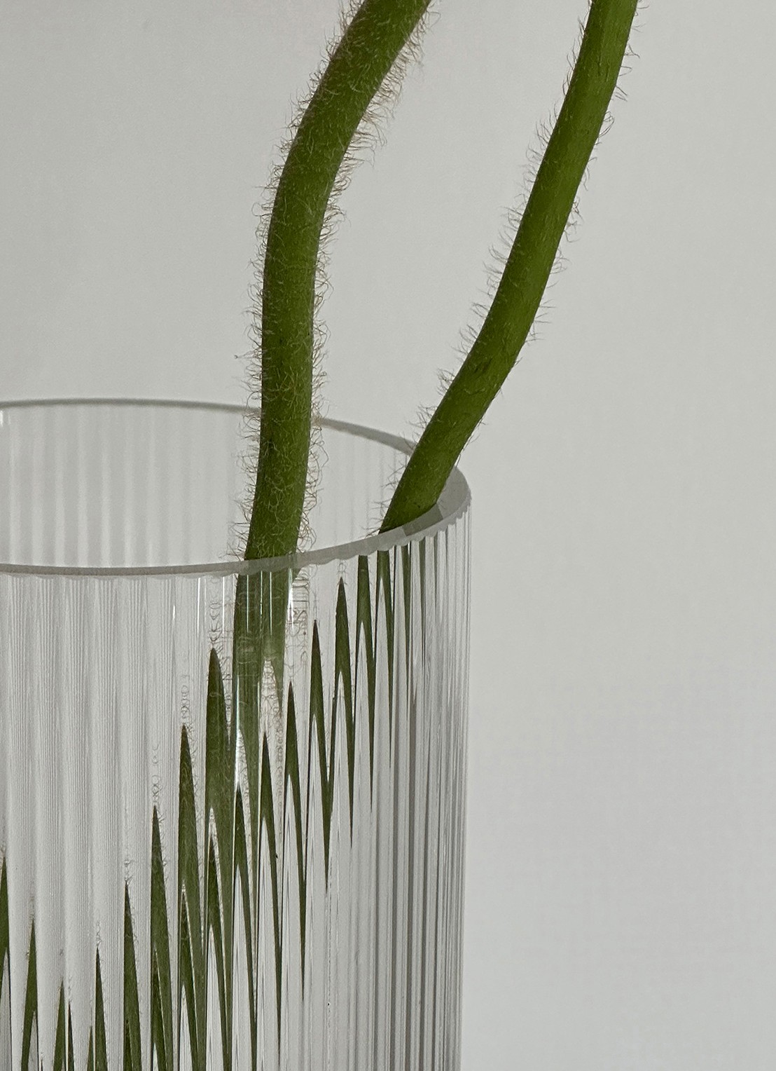 Stelton Pilastro vaas 21 cm - detail 4 transparant