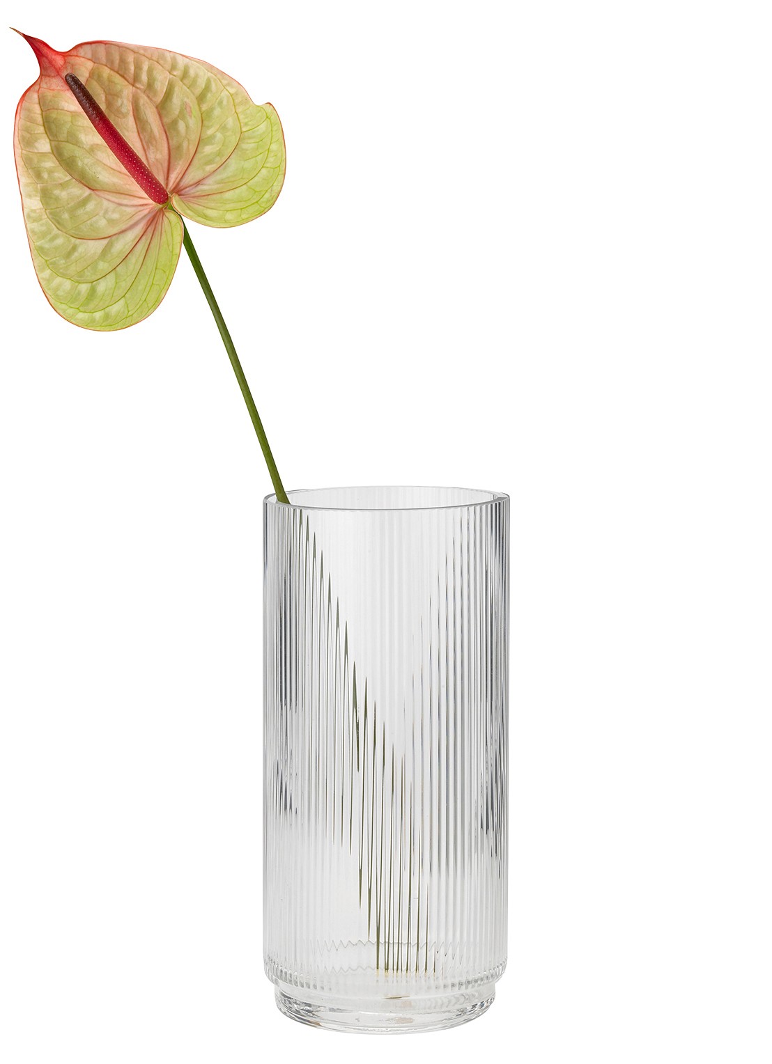 Stelton Pilastro vaas 21 cm - voorkant transparant