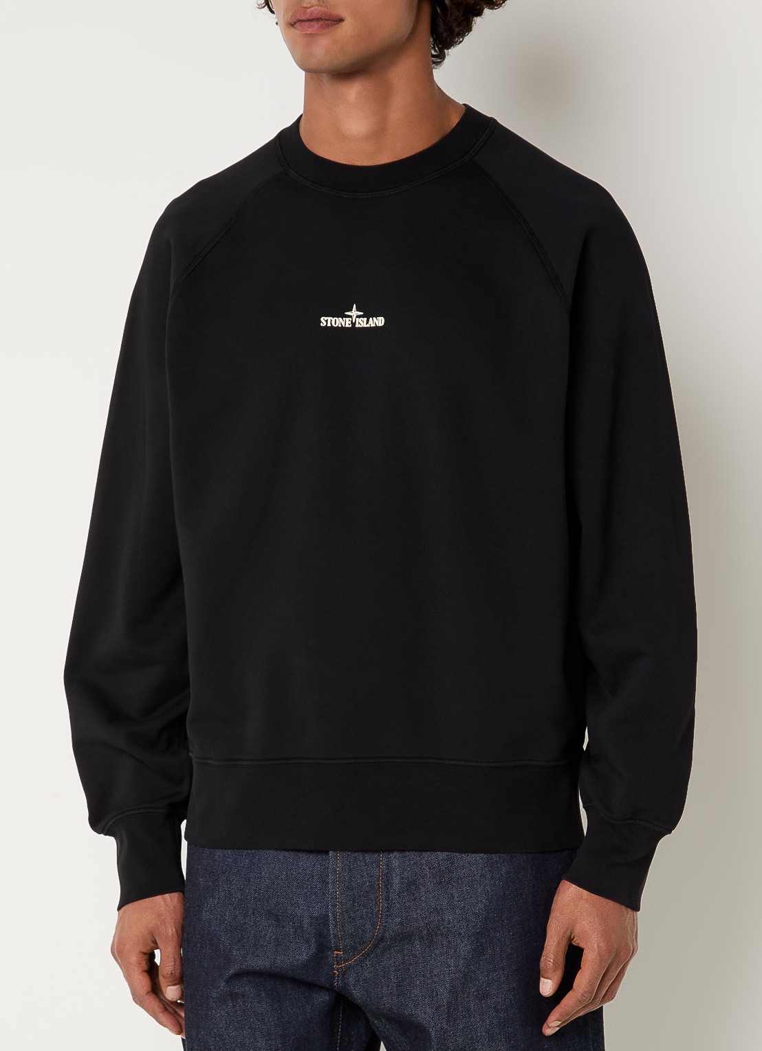 Stone Island S0466 sweater met logo- en backprint - achterkant zwart
