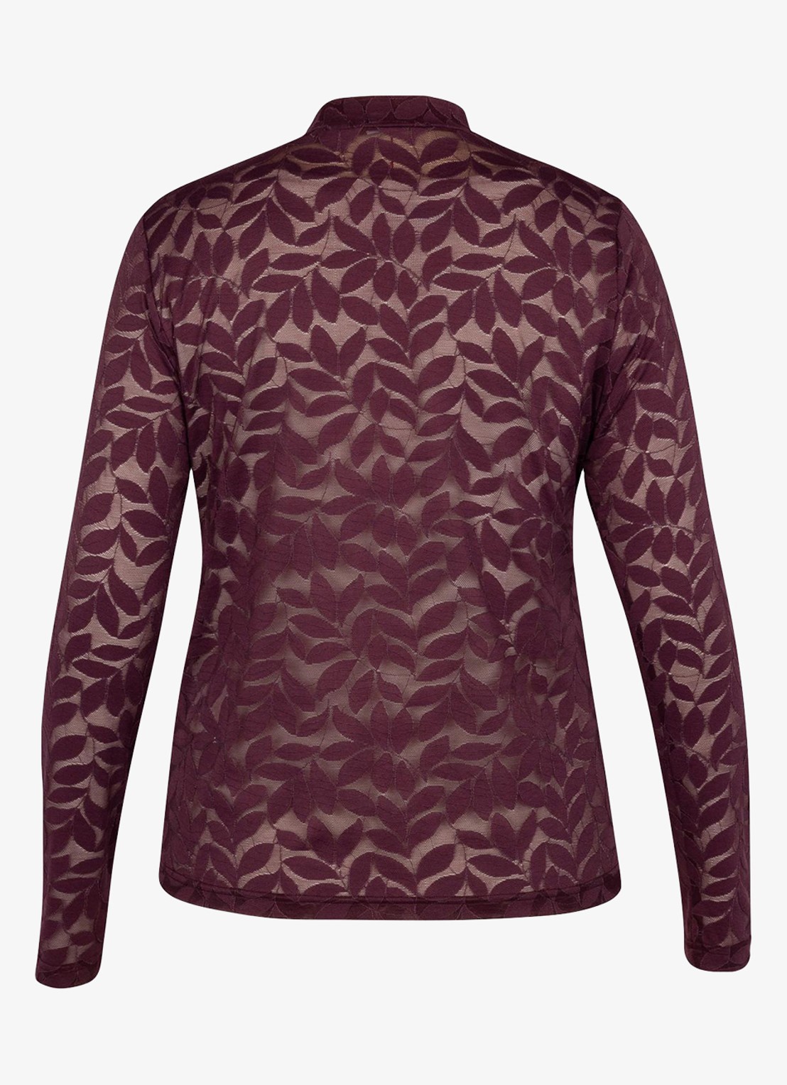 Studio Anneloes Reagan longsleeve van kant - achterkant 2 bruin