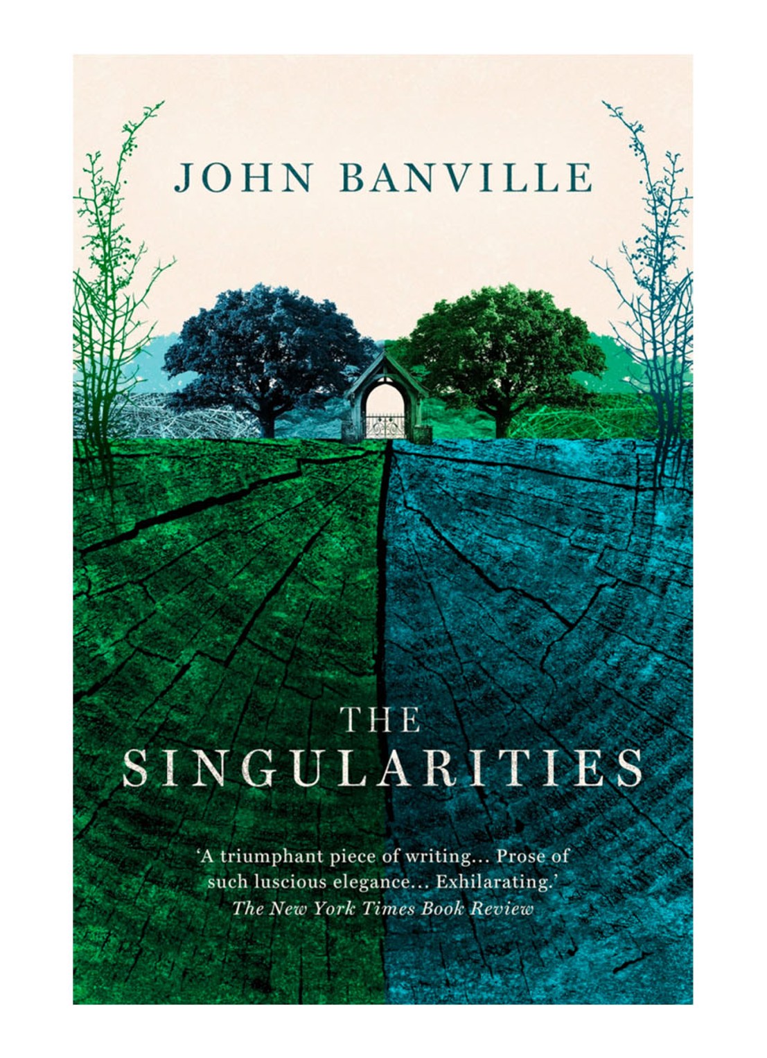 The Singularities - voorkant undefined