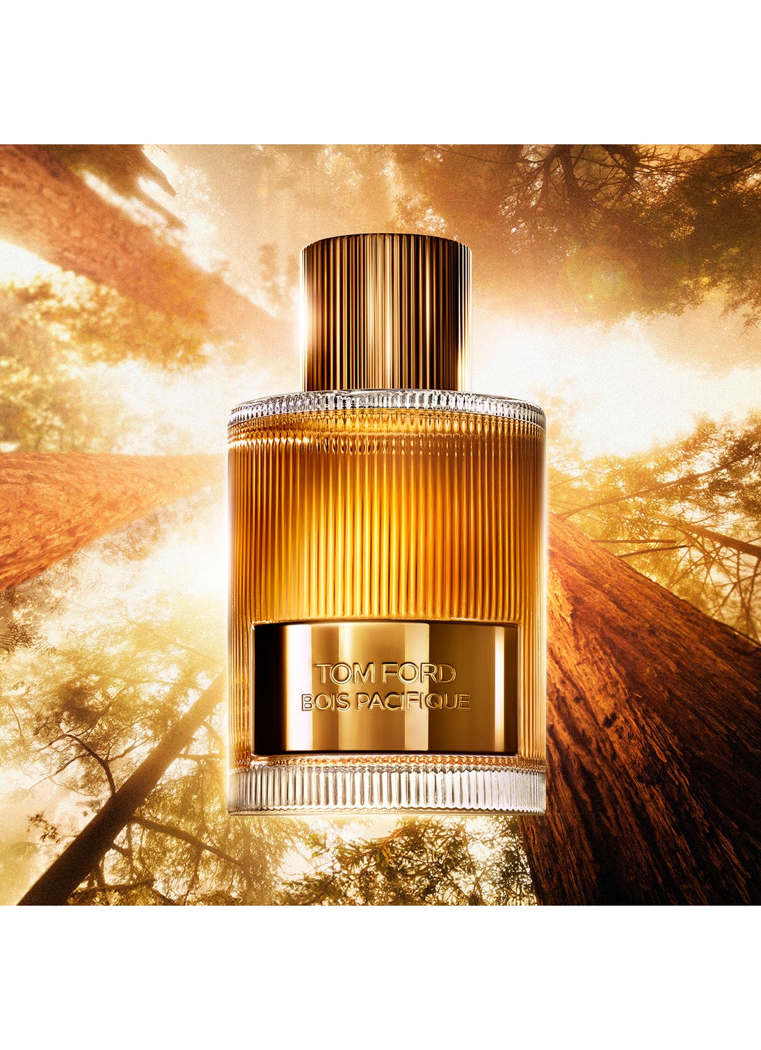 TOM FORD Signature Discovery Set - mini parfumset - detail 5 undefined
