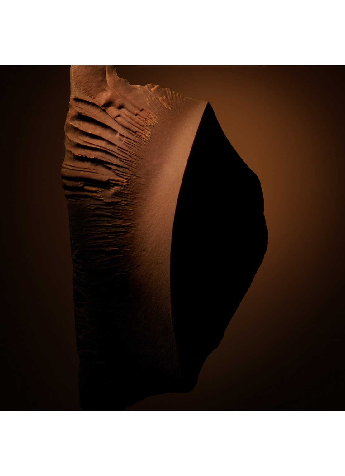 TOM FORD Tobacco Chocolat Eau de Parfum - detail 2 undefined
