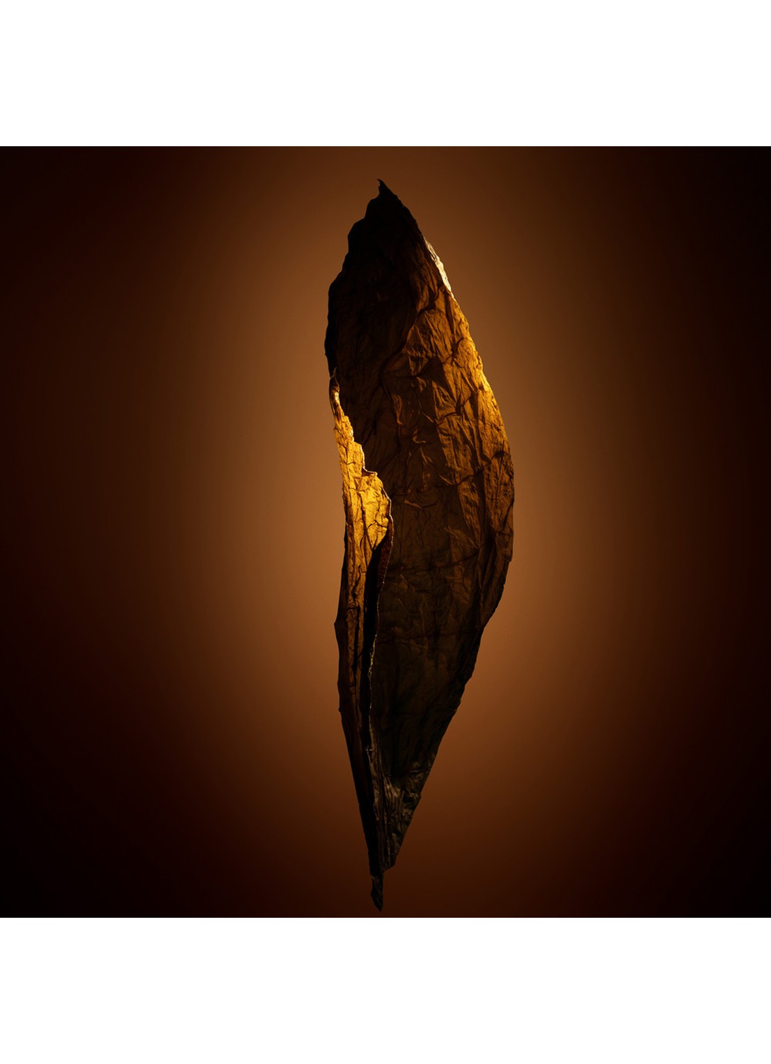 TOM FORD Tobacco Chocolat Eau de Parfum - detail 3 undefined