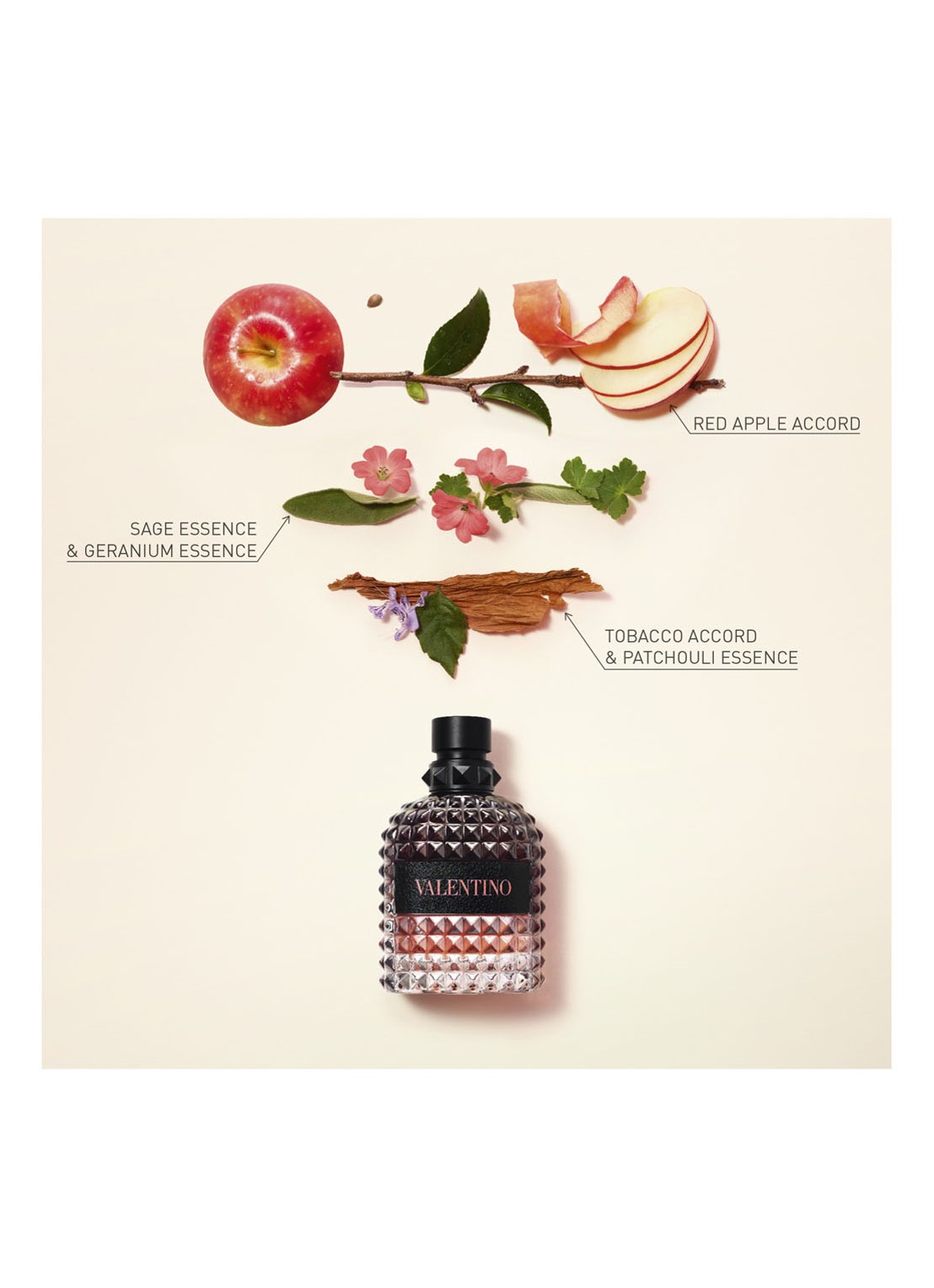 Valentino Born in Roma Uomo Coral Fantasy Eau de Toilette - detail 3 undefined