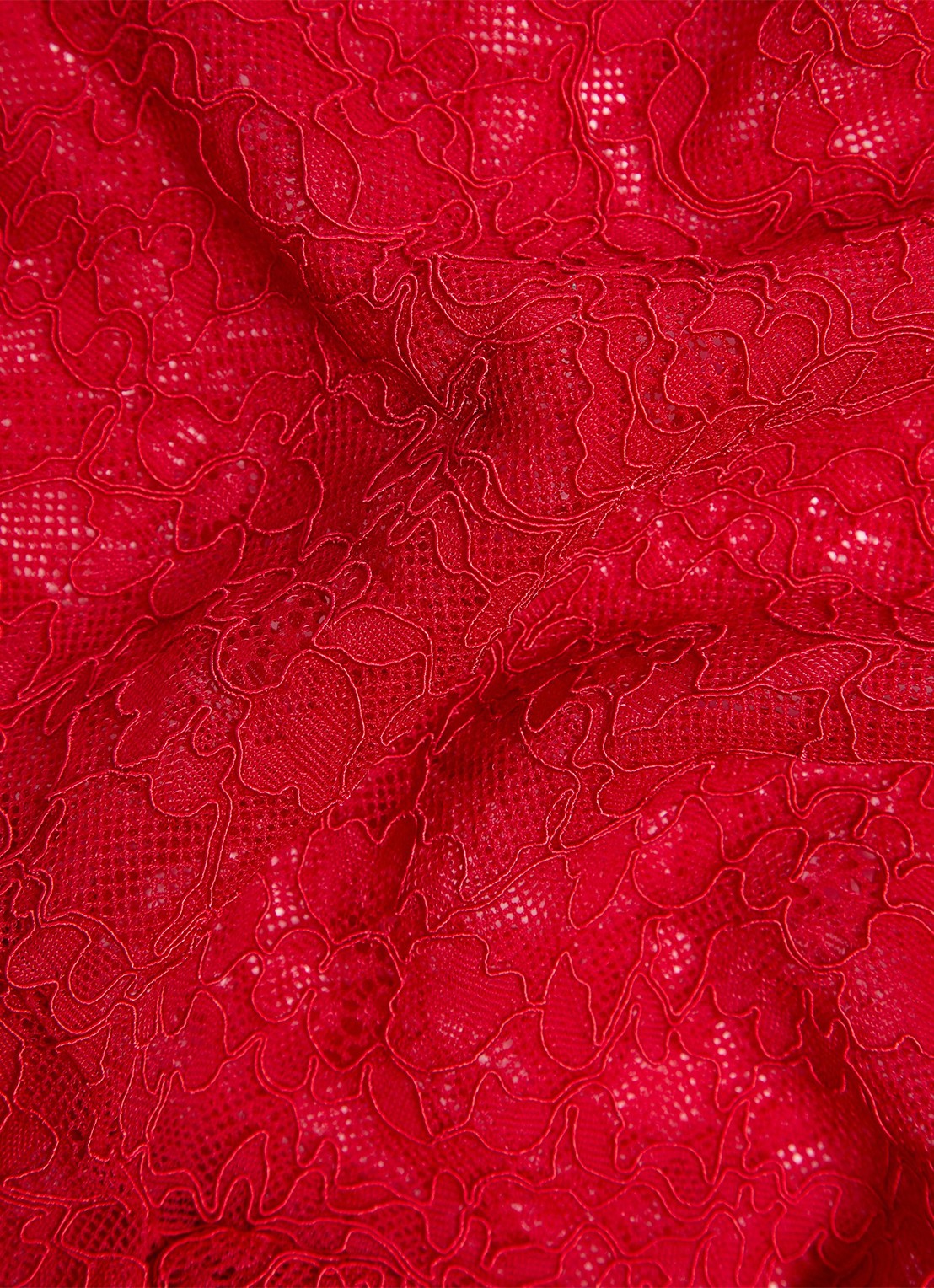 Valentino Garavani Panty van kant met logoband - detail 6 rood