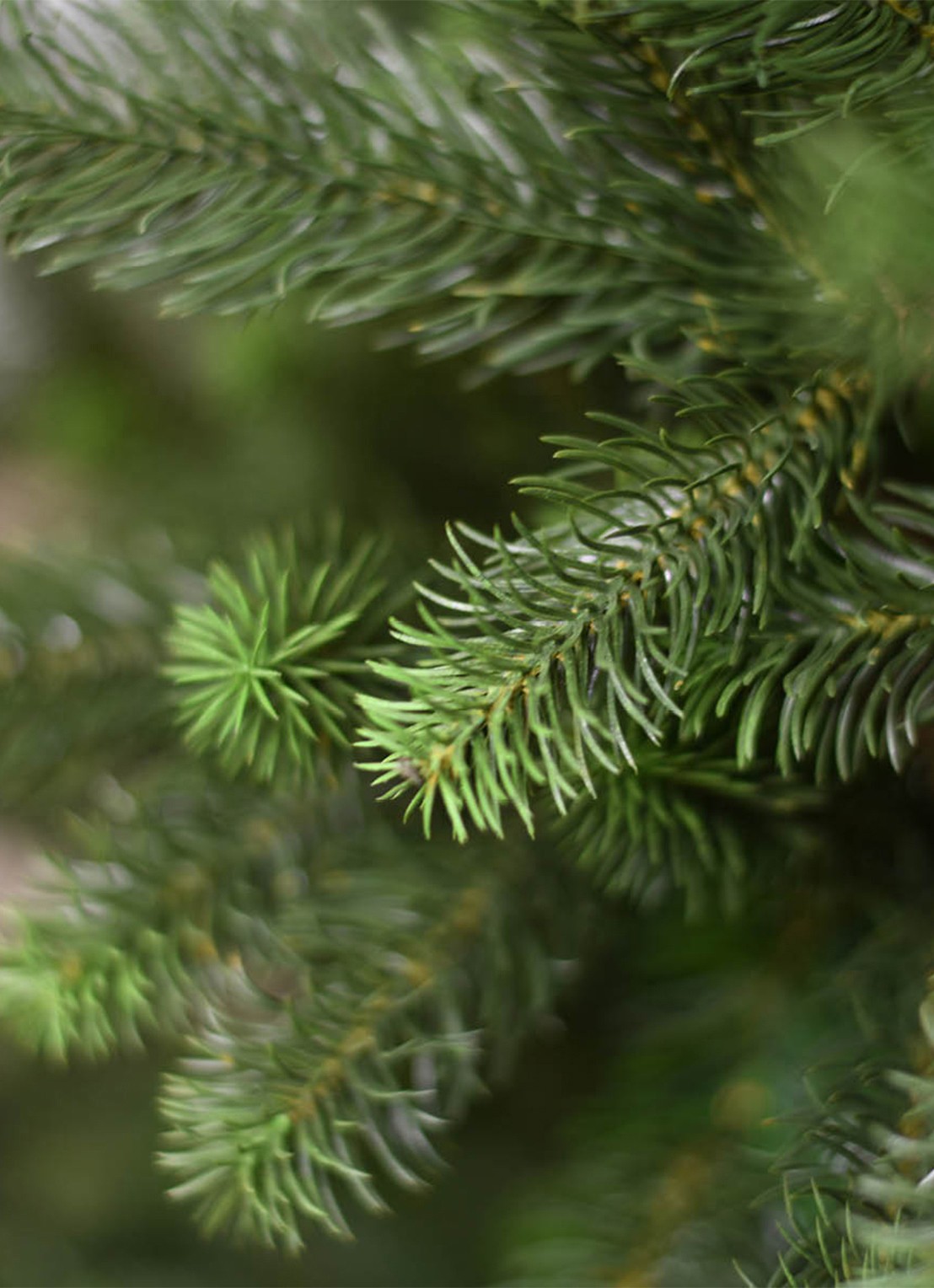 Van Der Gucht Kentucky Deluxe kunstkerstboom 228 cm - achterkant 4 groen