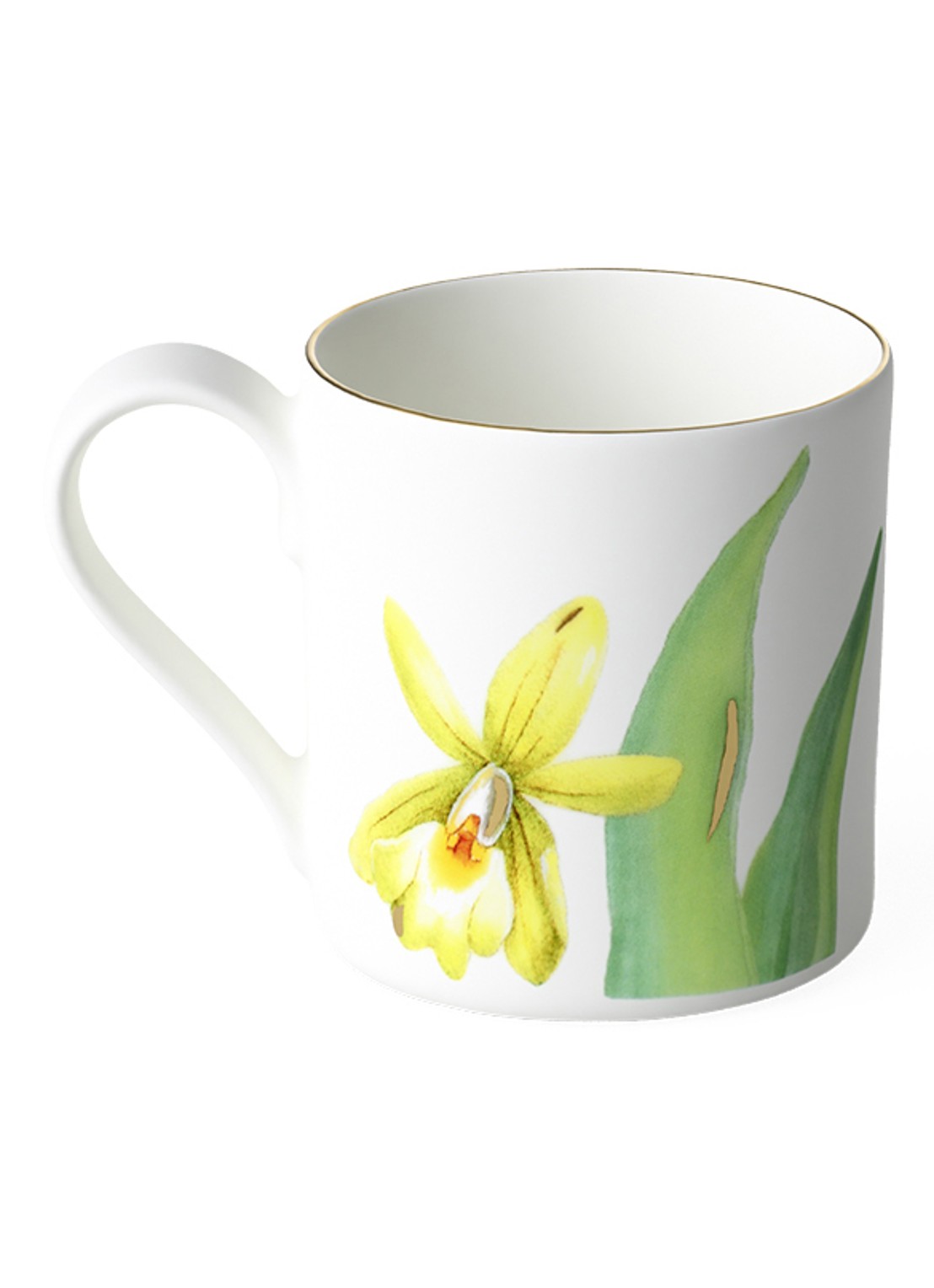 Villeroy & Boch Amazonia espressokopje 8 cl - voorkant 2 gebroken wit