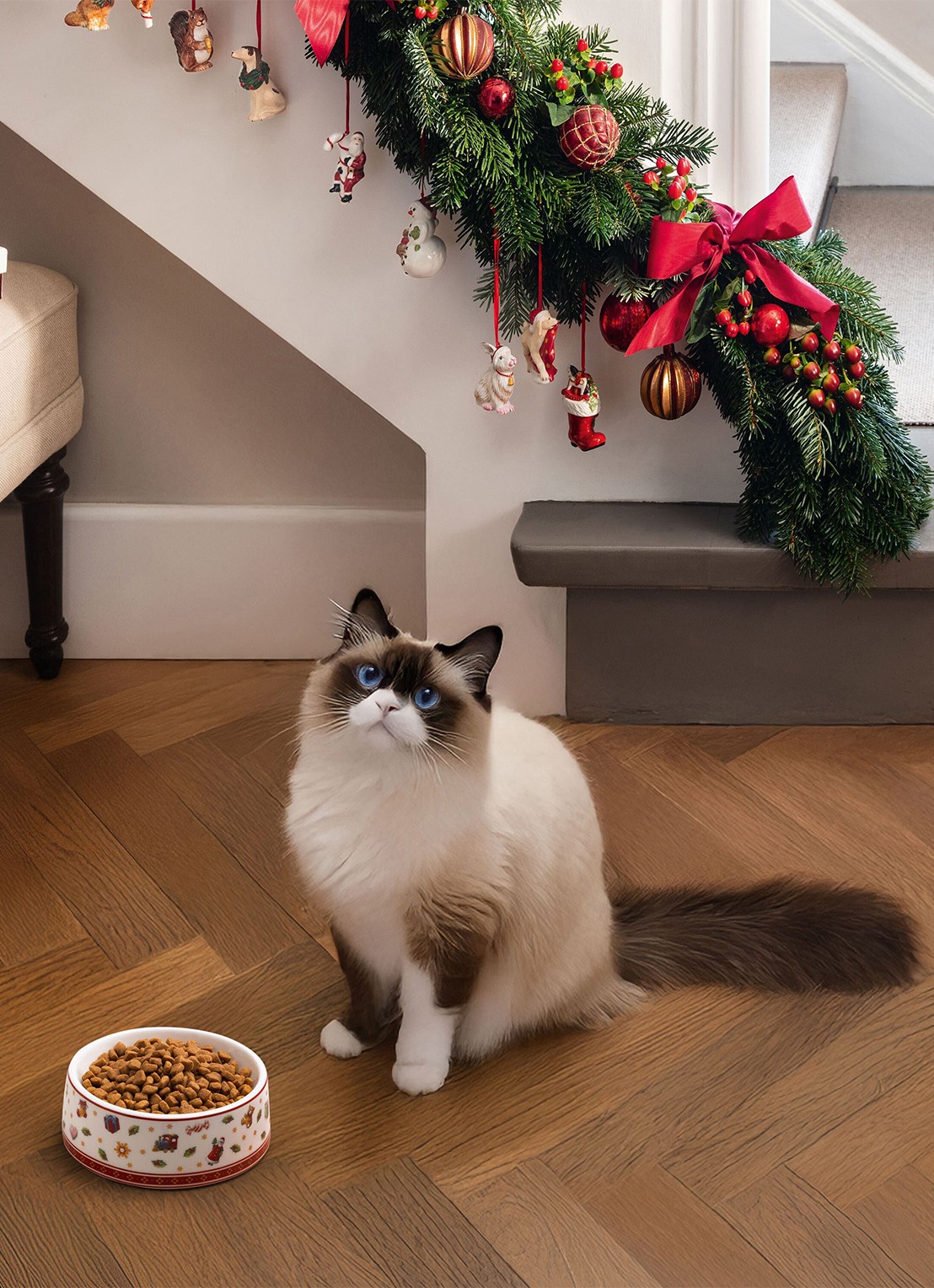 Villeroy & Boch Toy's Delight voerbak voor kat 14,1 cm - detail rood