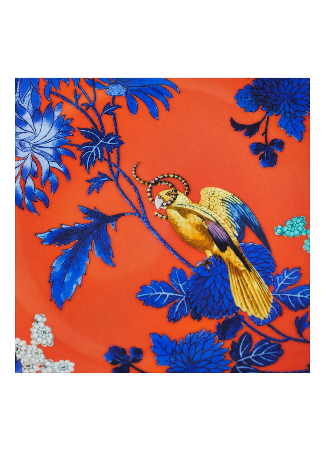 Wedgwood Wonderlust Golden Parrot ontbijtbord 20cm - achterkant 5 oranjerood
