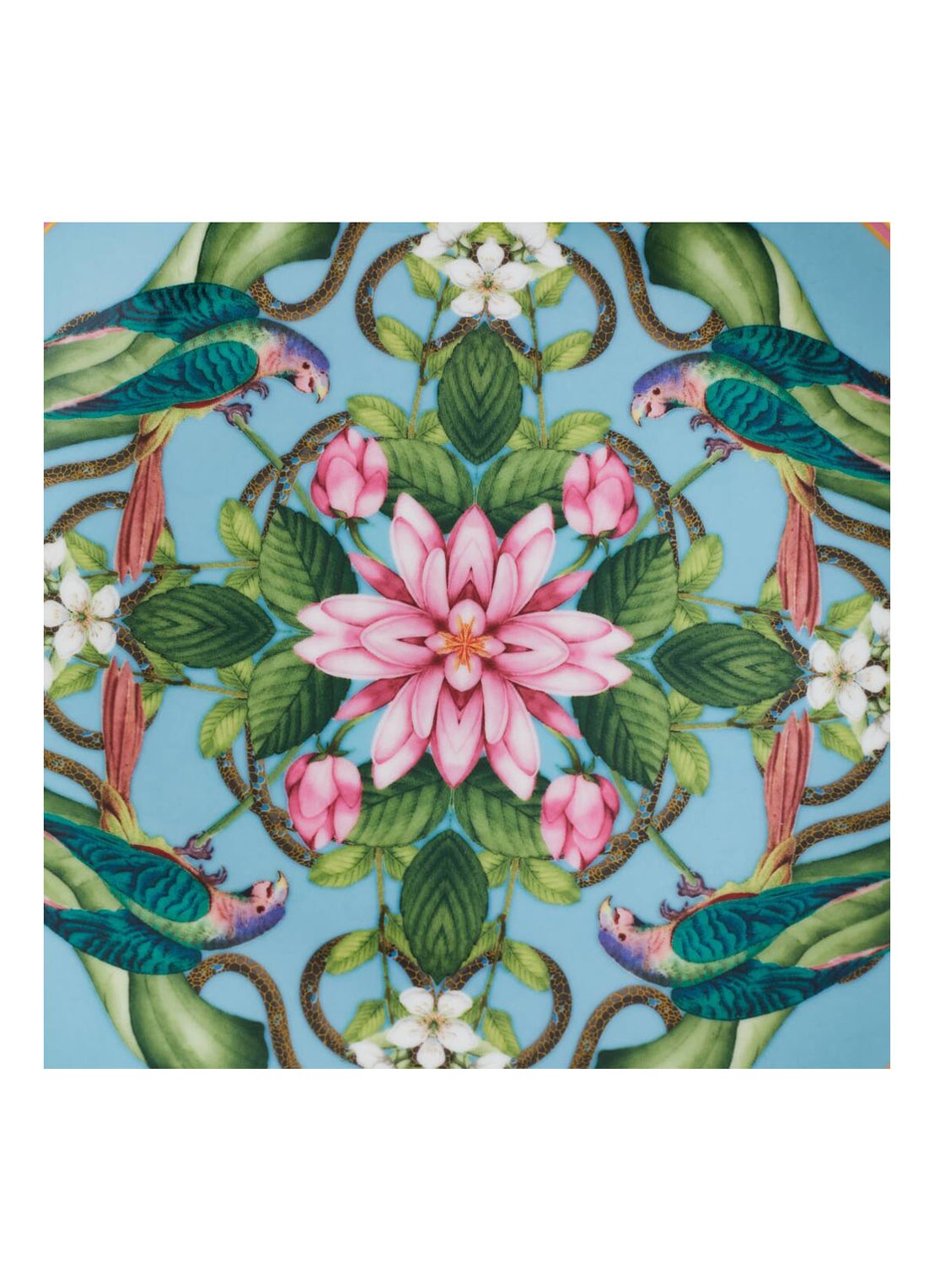 Wedgwood Wonderlust Menagerie ontbijtbord 20 cm - achterkant 3 multicolor