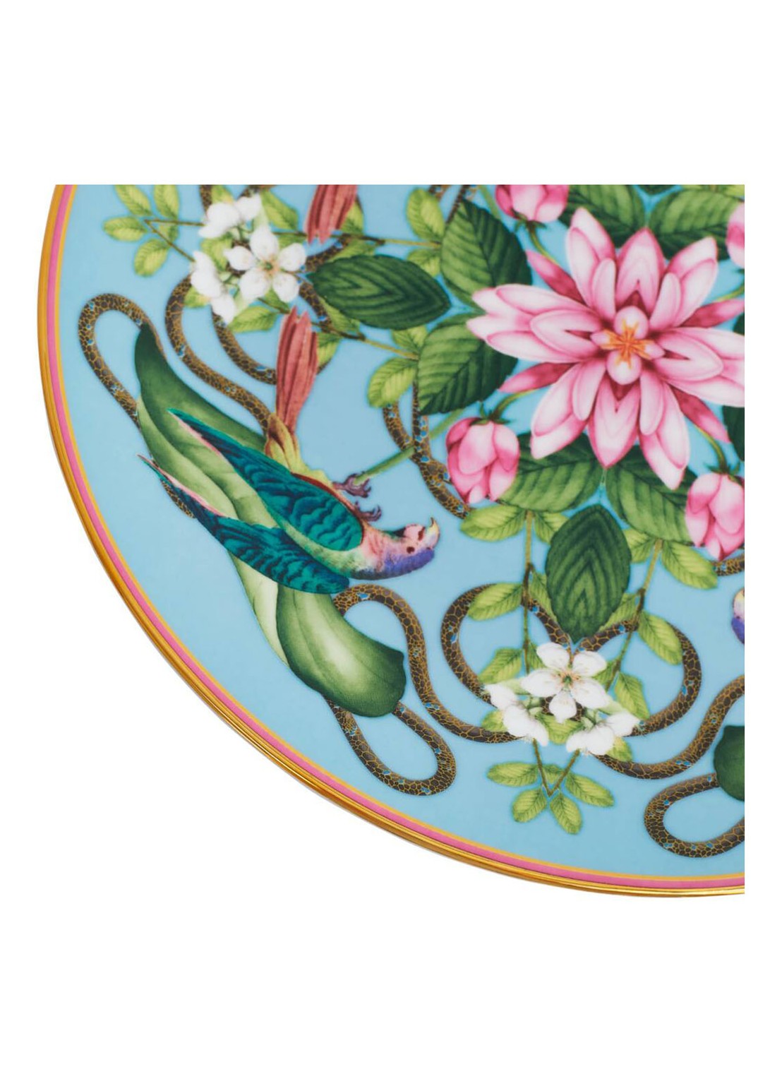 Wedgwood Wonderlust Menagerie ontbijtbord 20 cm - voorkant 5 multicolor