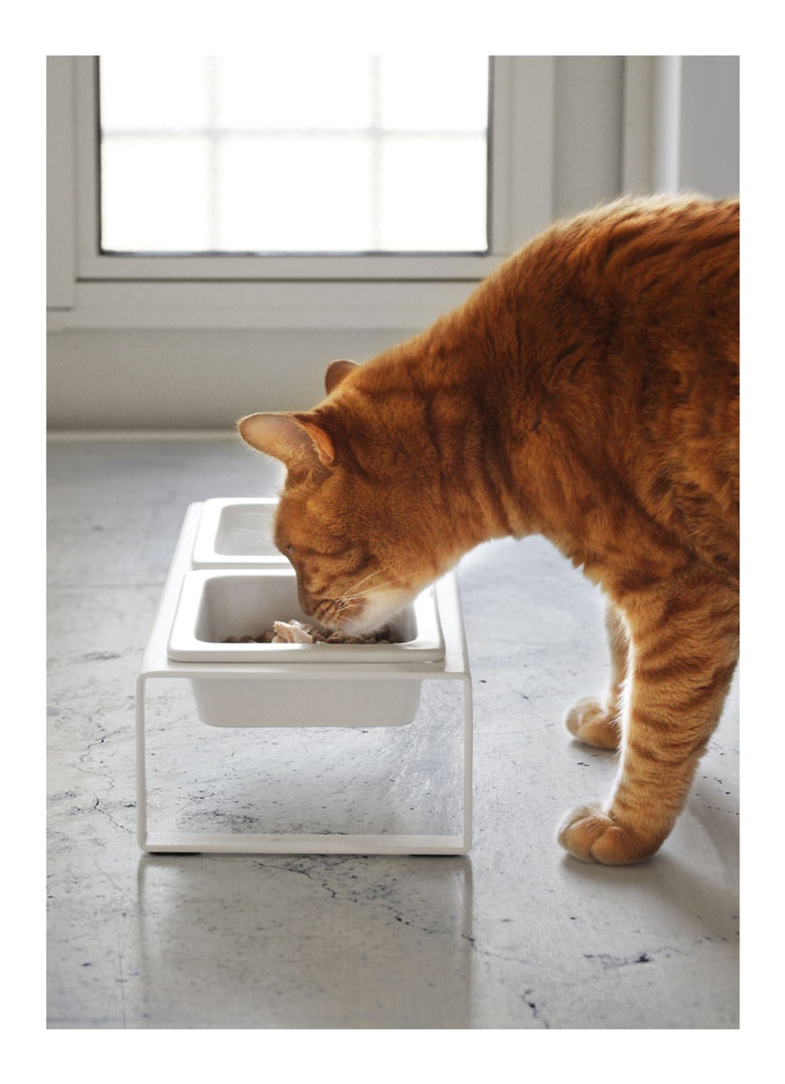 Yamazaki Tower Tall voerbak voor katten 29 x 15,5 cm - voorkant 7 wit