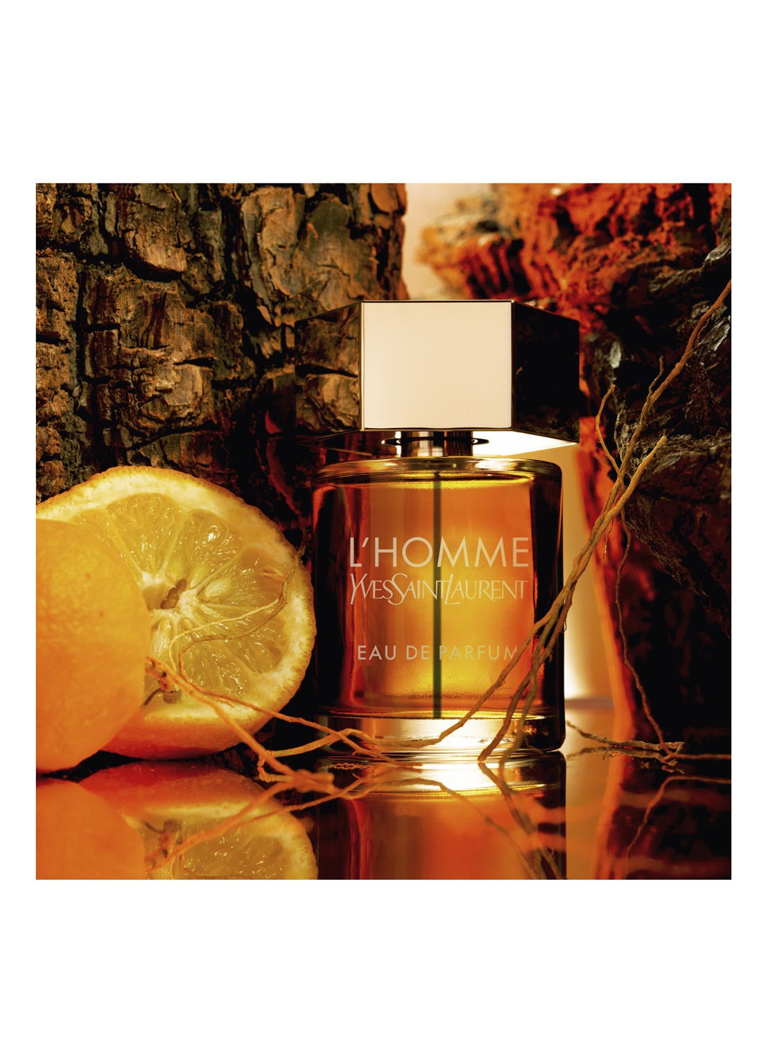 Yves Saint Laurent L'Homme Eau de Parfum - detail 4 undefined