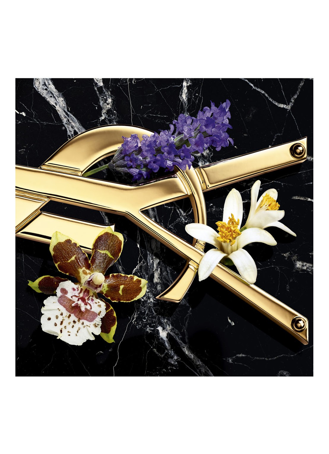 Yves Saint Laurent Libre Eau De Parfum Intense - detail 2 undefined