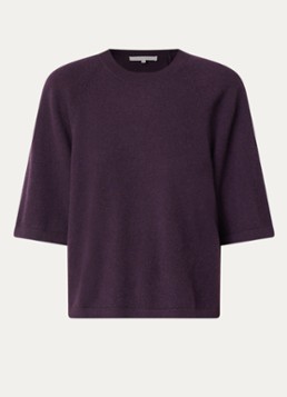 Absolut Cashmere. Dames Leana fijngebreide pullover van kasjmier in de kleur Paars, maat: M